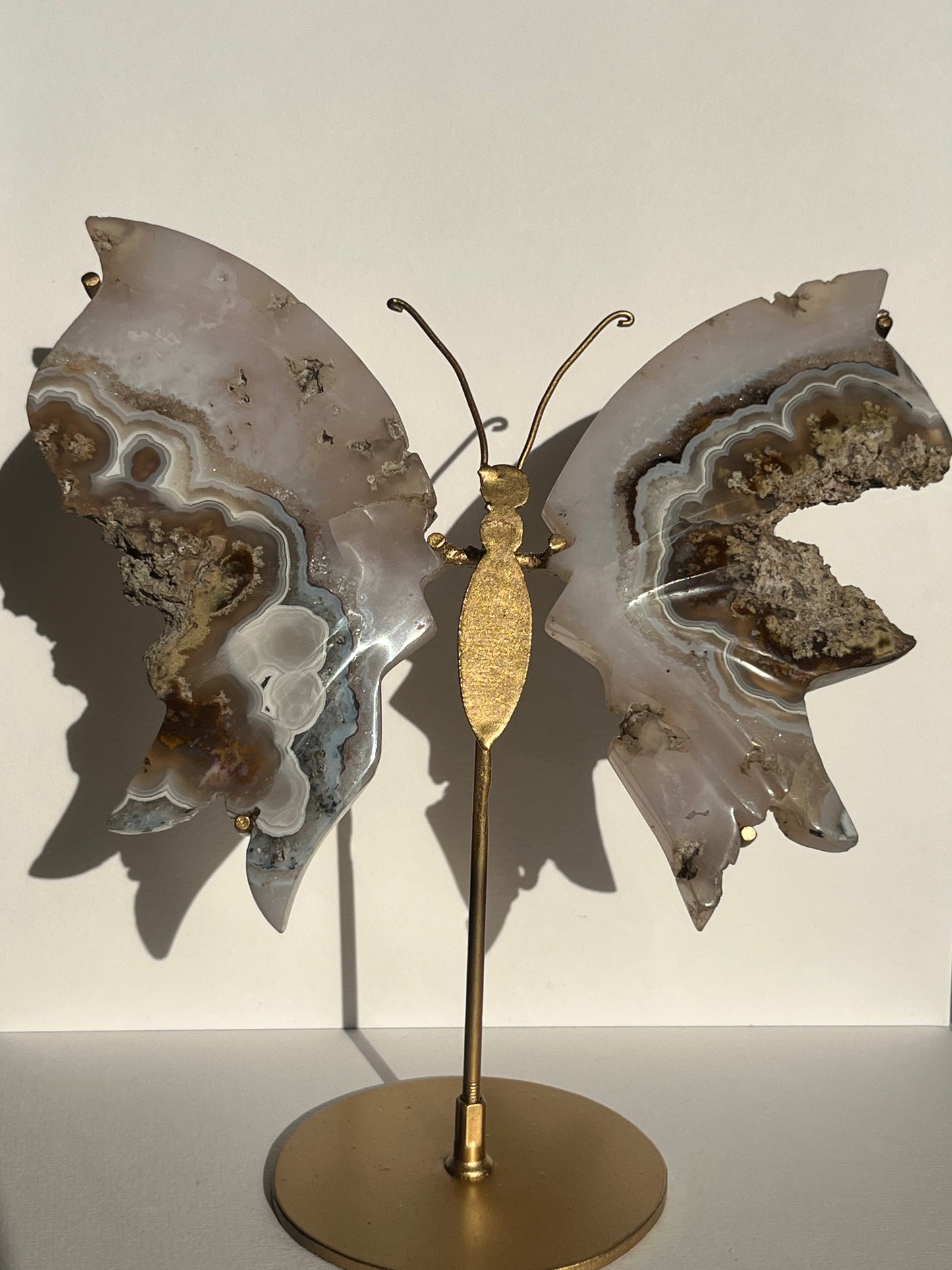 Nebula Agate with Dendritic Inclusions Butterfly on Stand