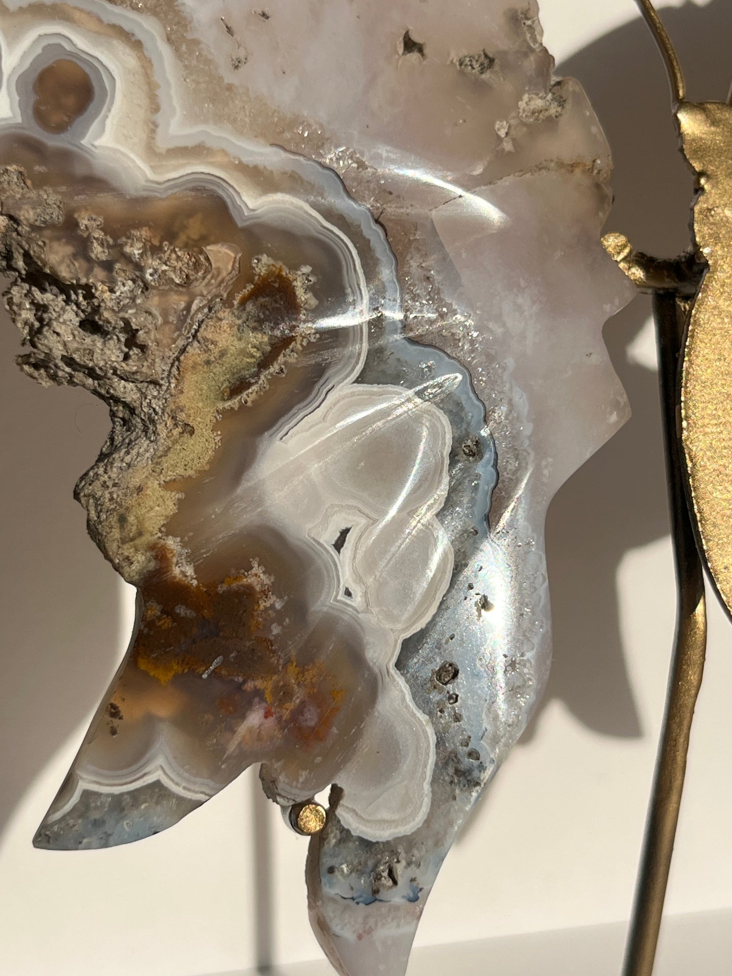 Nebula Agate with Dendritic Inclusions Butterfly on Stand