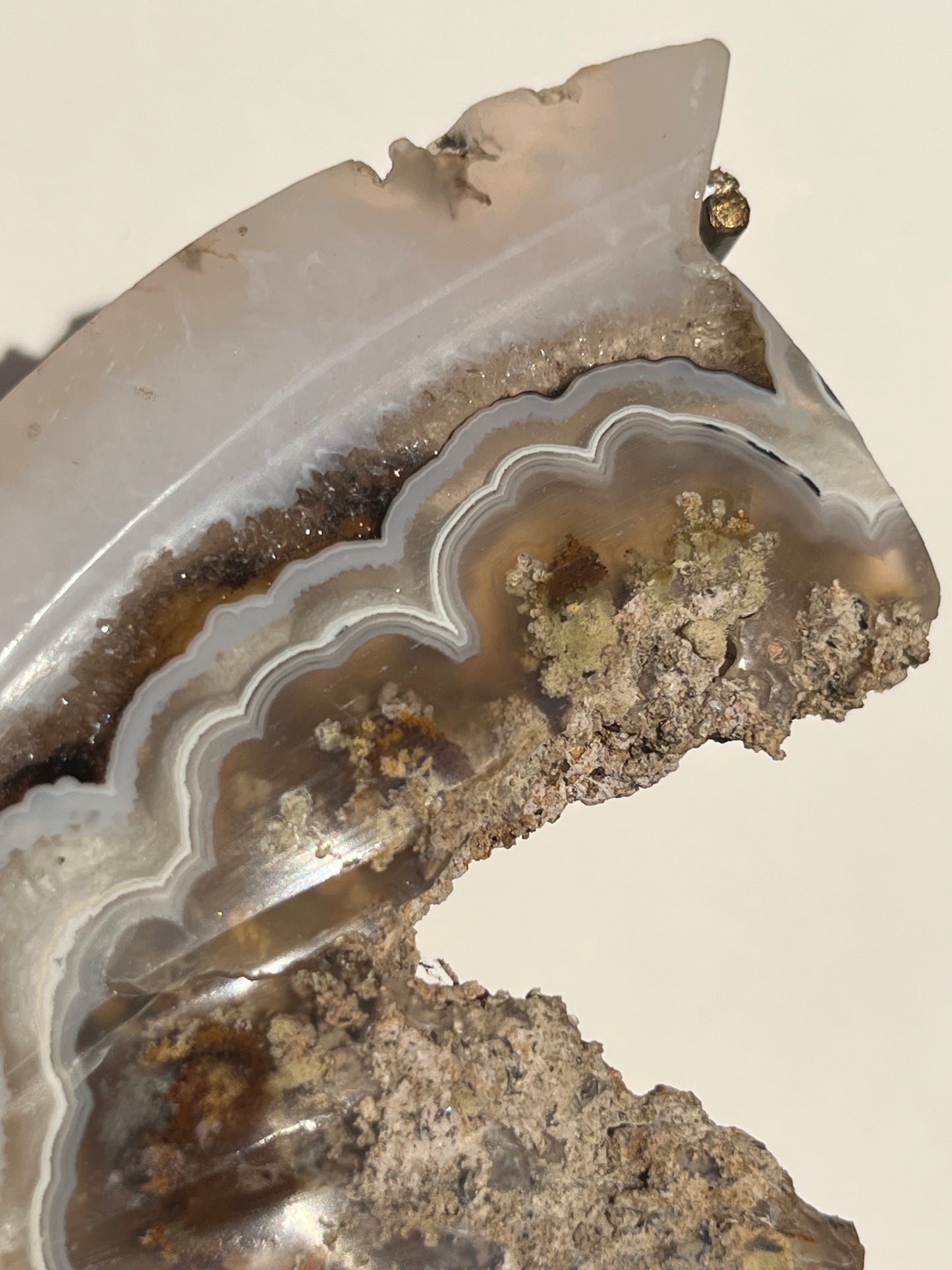 Nebula Agate with Dendritic Inclusions Butterfly on Stand