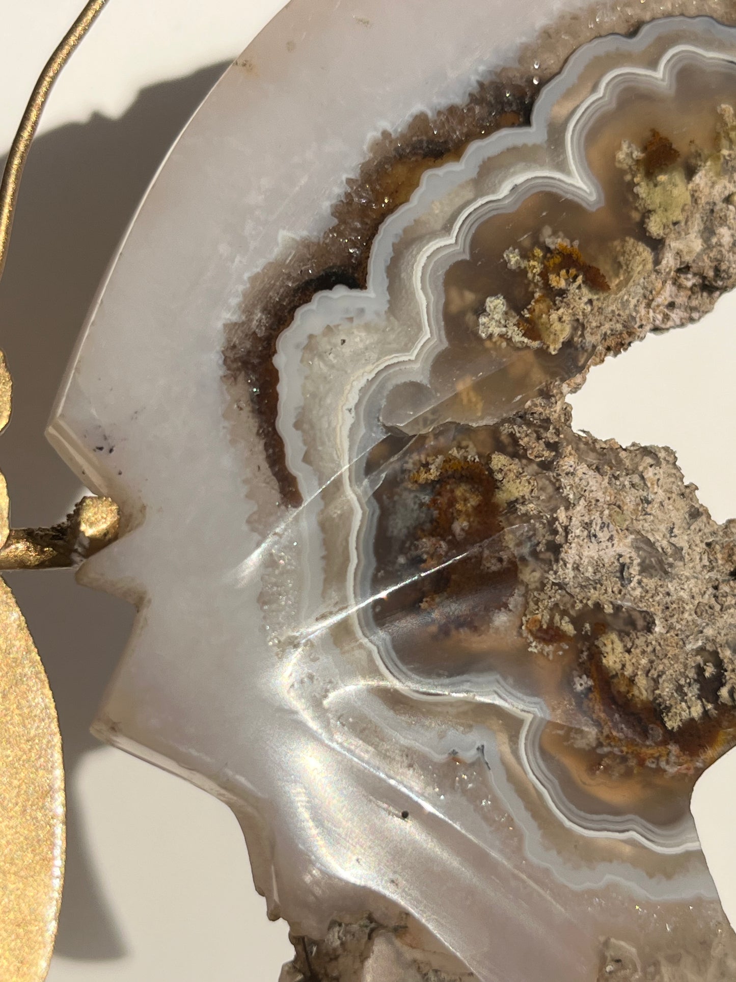 Nebula Agate with Dendritic Inclusions Butterfly on Stand