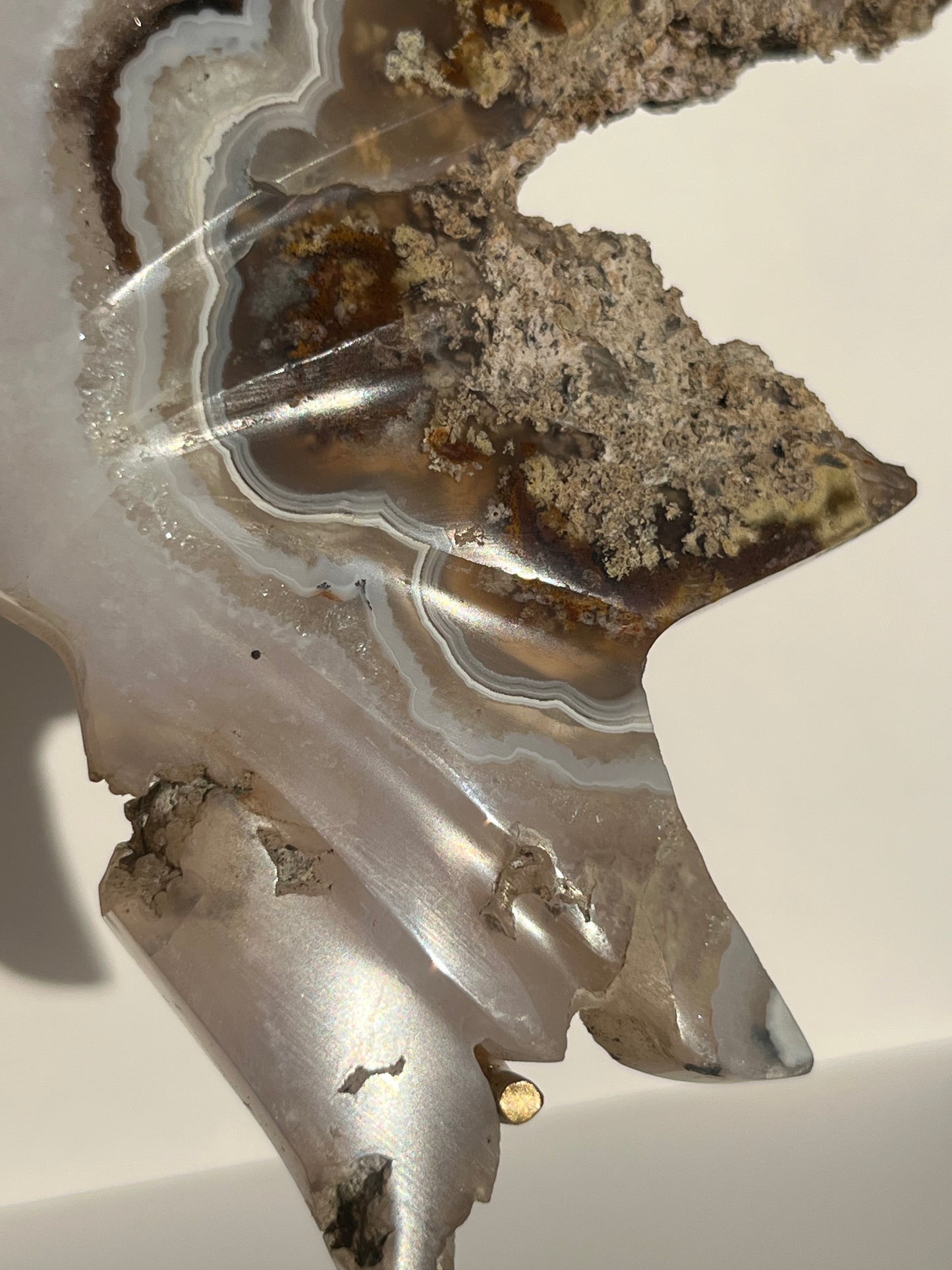 Nebula Agate with Dendritic Inclusions Butterfly on Stand