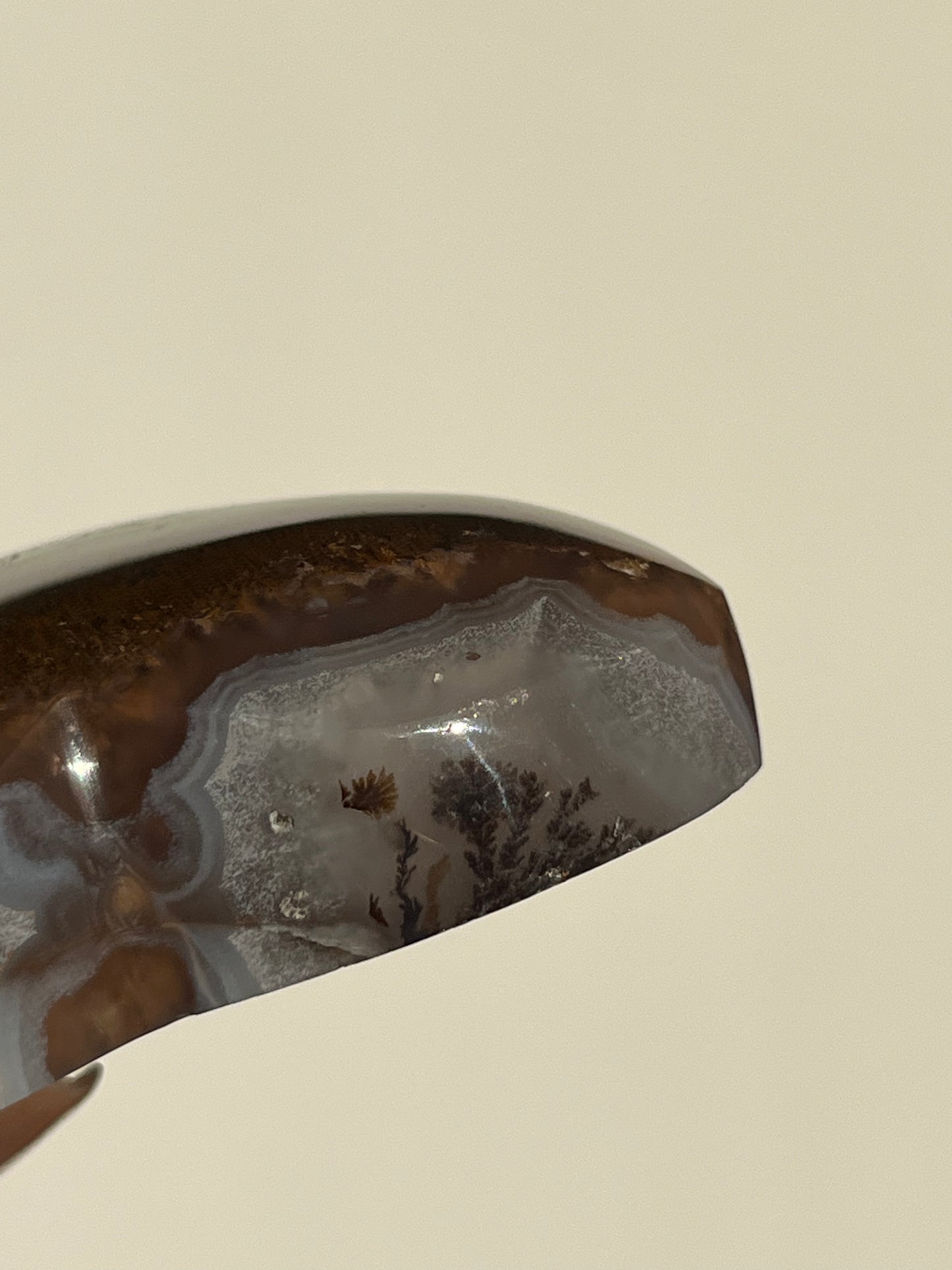 "Dandelion Blooms" Nebula Agate Heart with Red Moss and Dendritic Inclusions C