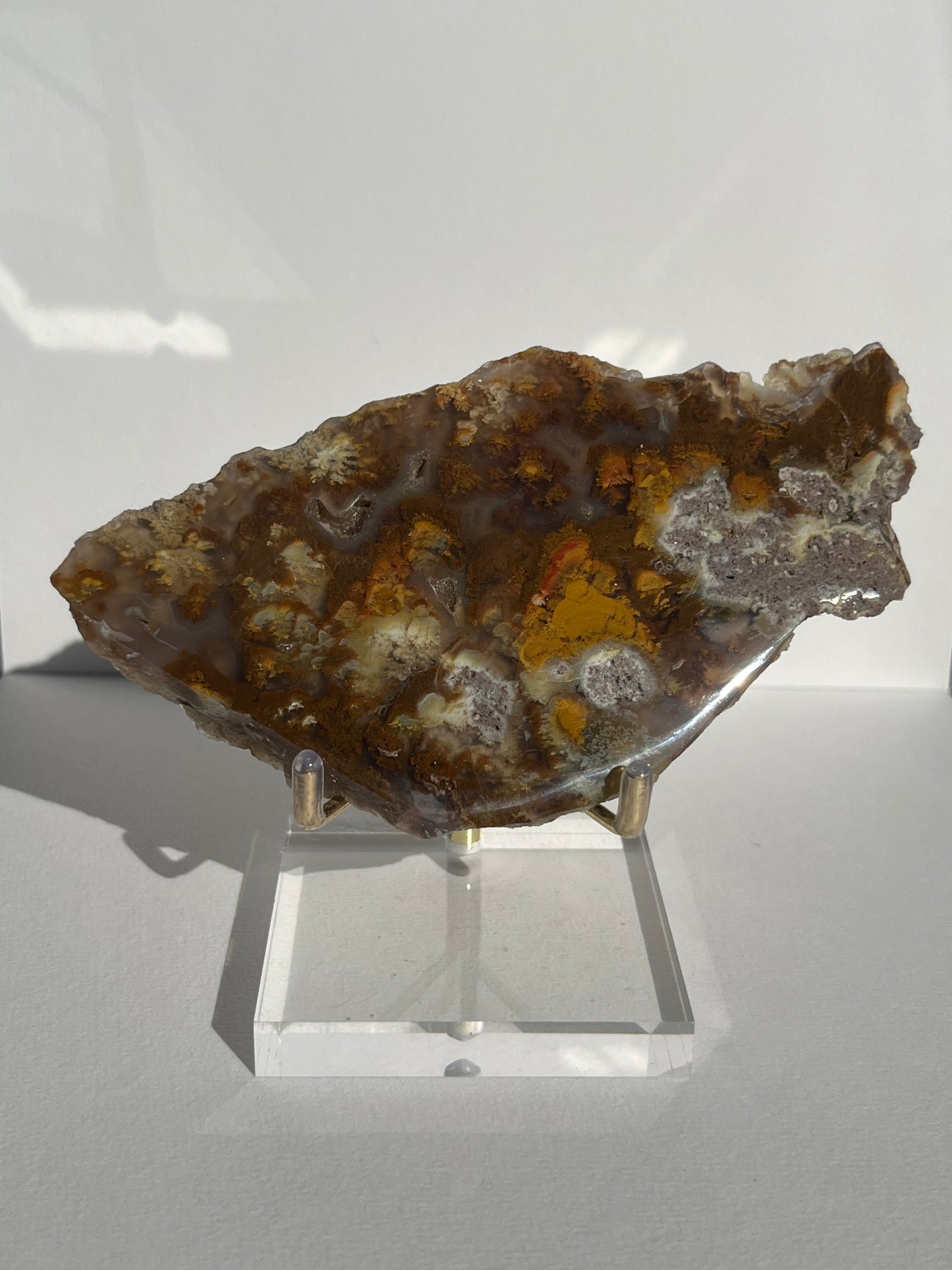 Nebula Agate with Multicoloured Moss and Red Moss Inclusions Semi Polished Slab B