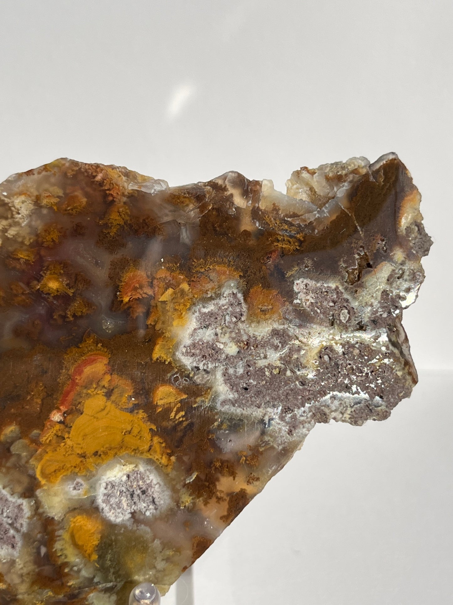Nebula Agate with Multicoloured Moss and Red Moss Inclusions Semi Polished Slab B