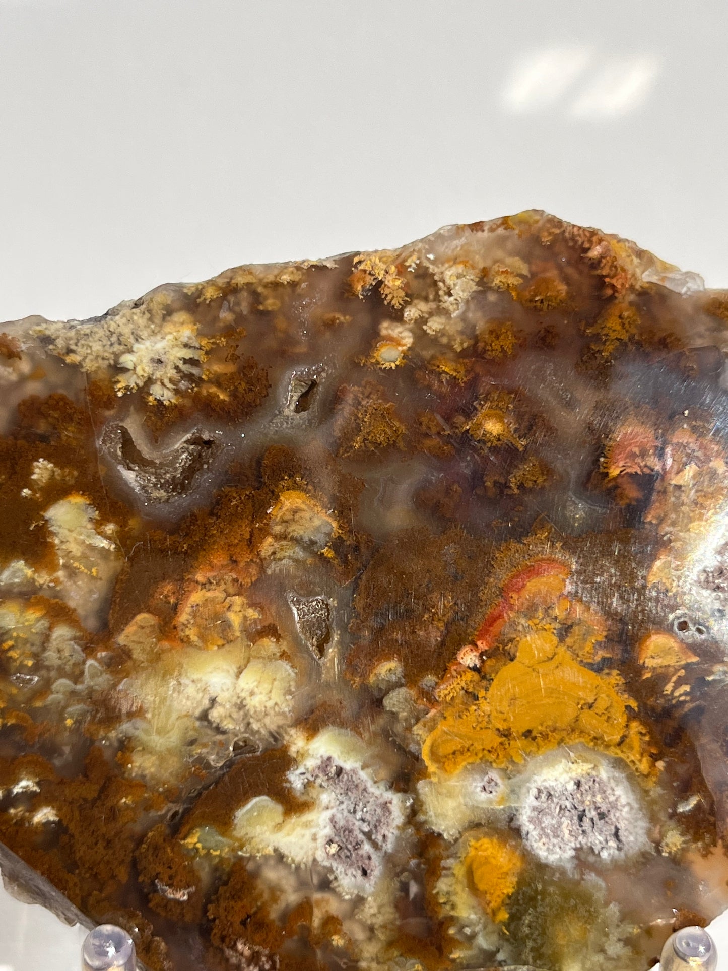 Nebula Agate with Multicoloured Moss and Red Moss Inclusions Semi Polished Slab B
