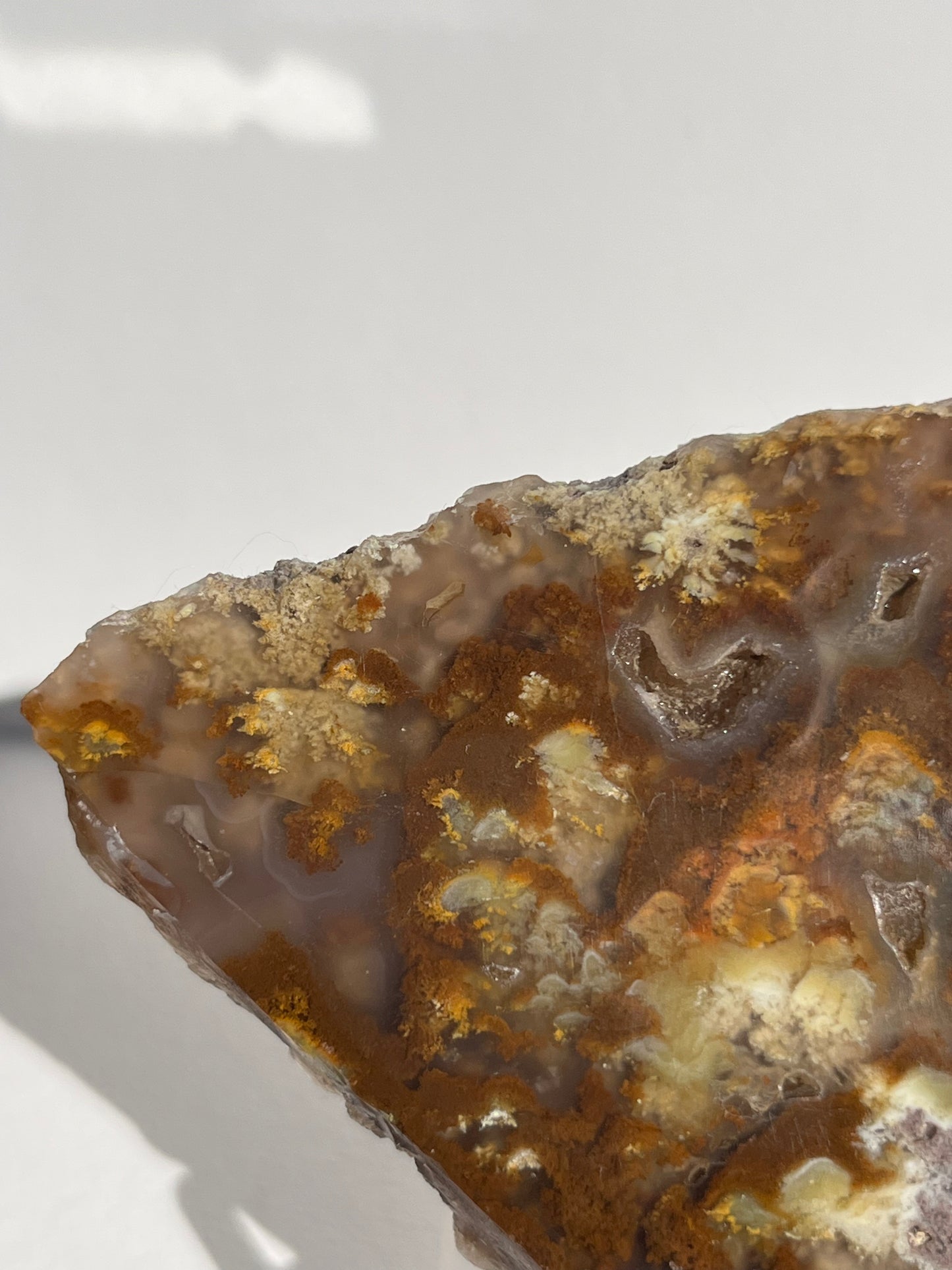 Nebula Agate with Multicoloured Moss and Red Moss Inclusions Semi Polished Slab B