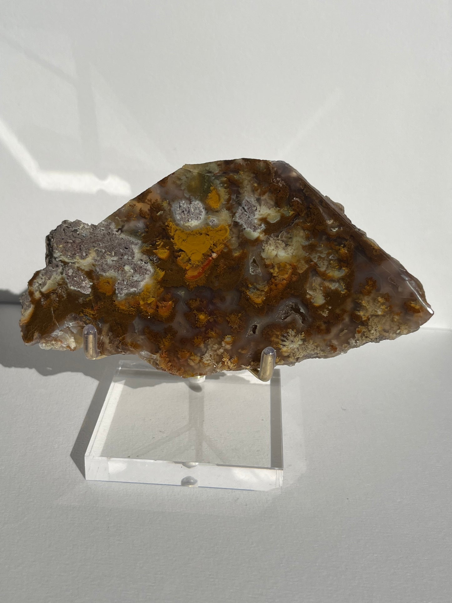 Nebula Agate with Multicoloured Moss and Red Moss Inclusions Semi Polished Slab B