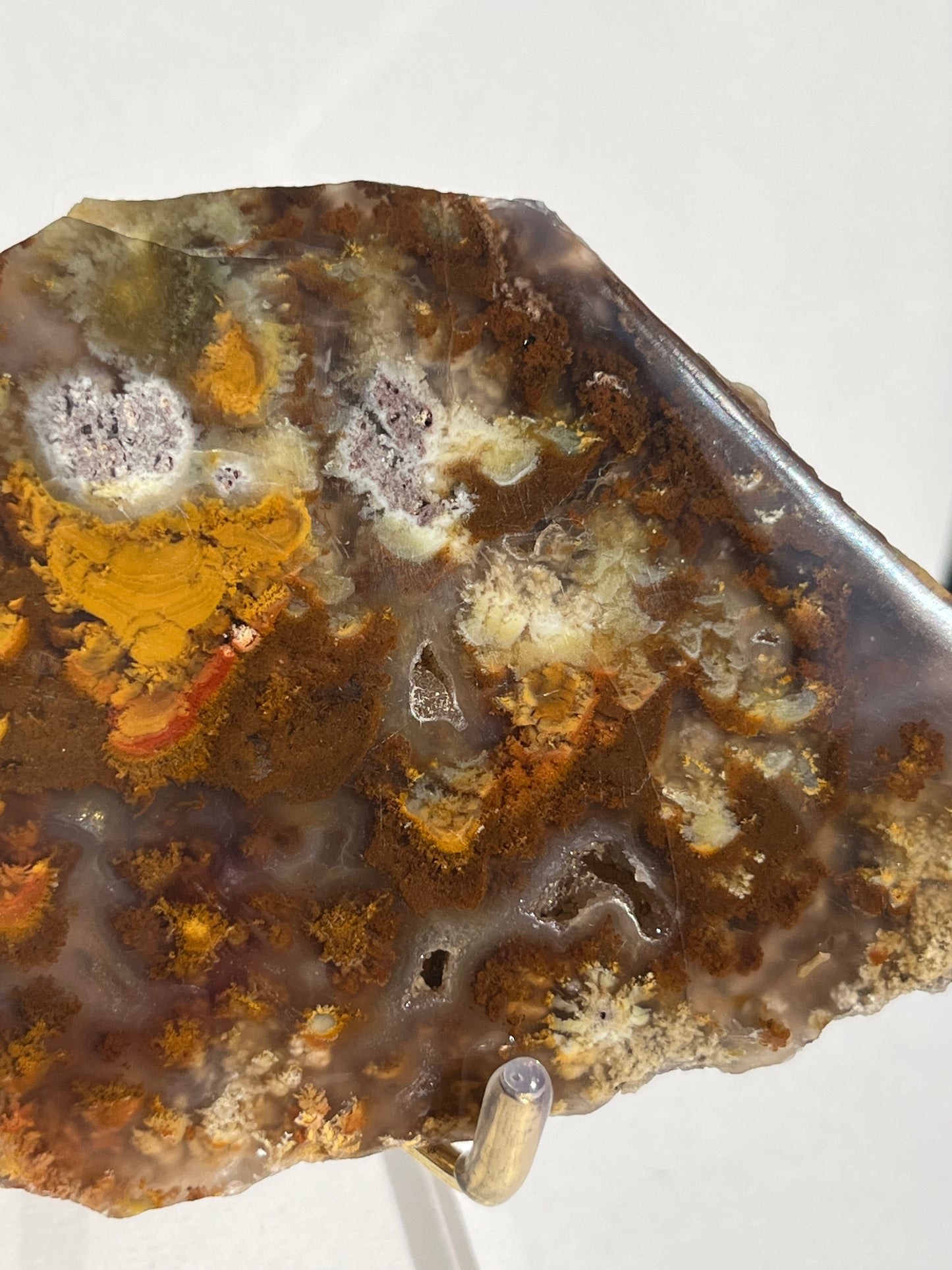 Nebula Agate with Multicoloured Moss and Red Moss Inclusions Semi Polished Slab B