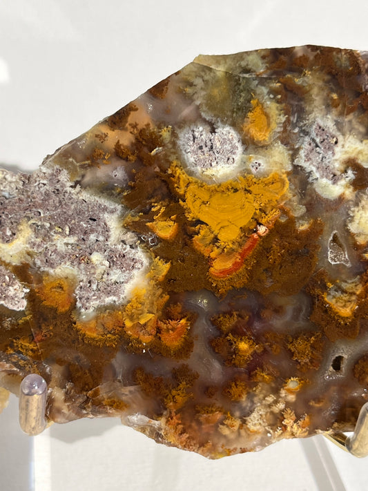 Nebula Agate with Multicoloured Moss and Red Moss Inclusions Semi Polished Slab B