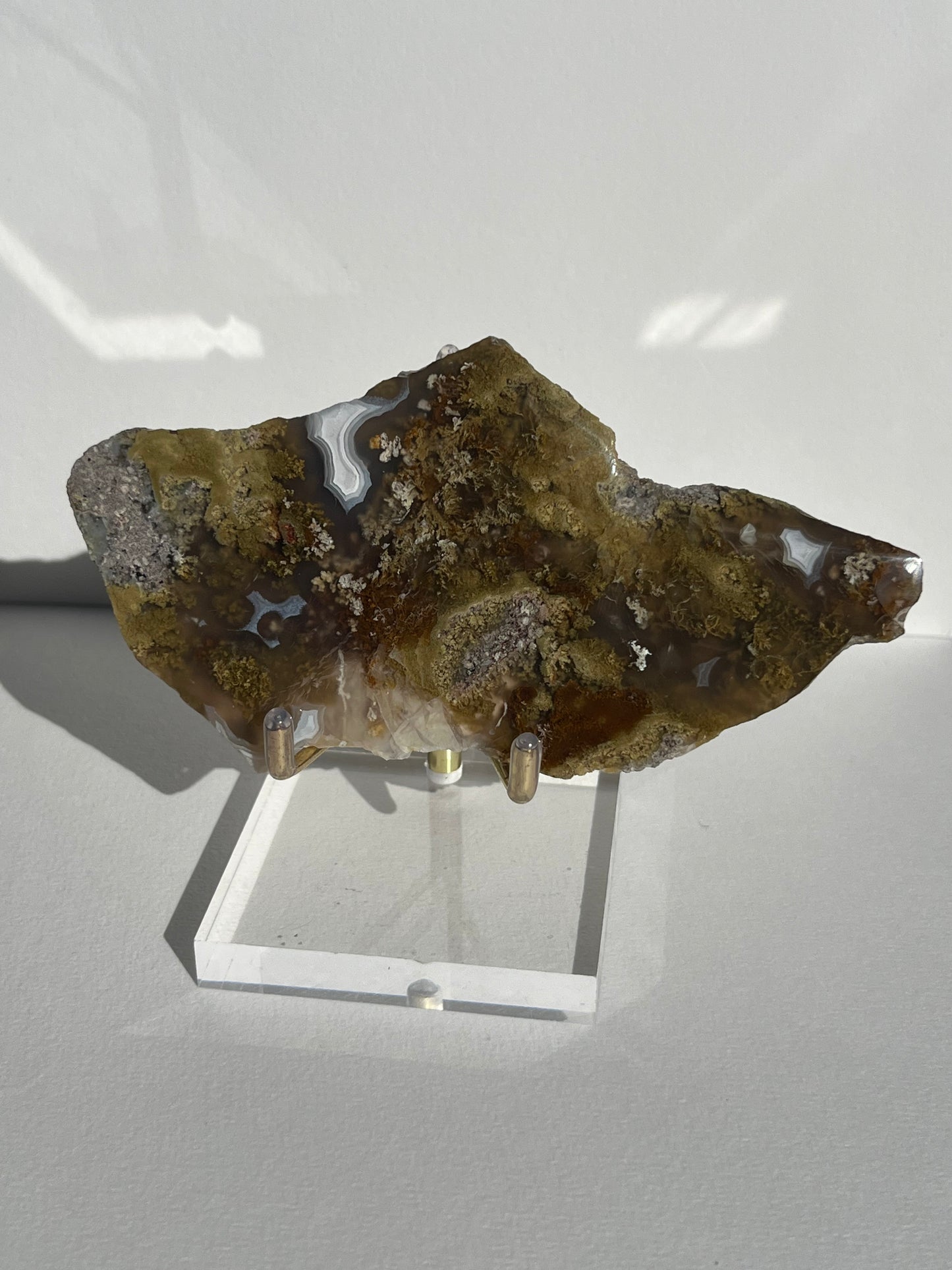 Nebula Agate with Multicoloured Moss Semi Polished Slab C