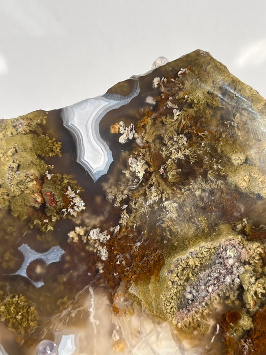 Nebula Agate with Multicoloured Moss Semi Polished Slab C