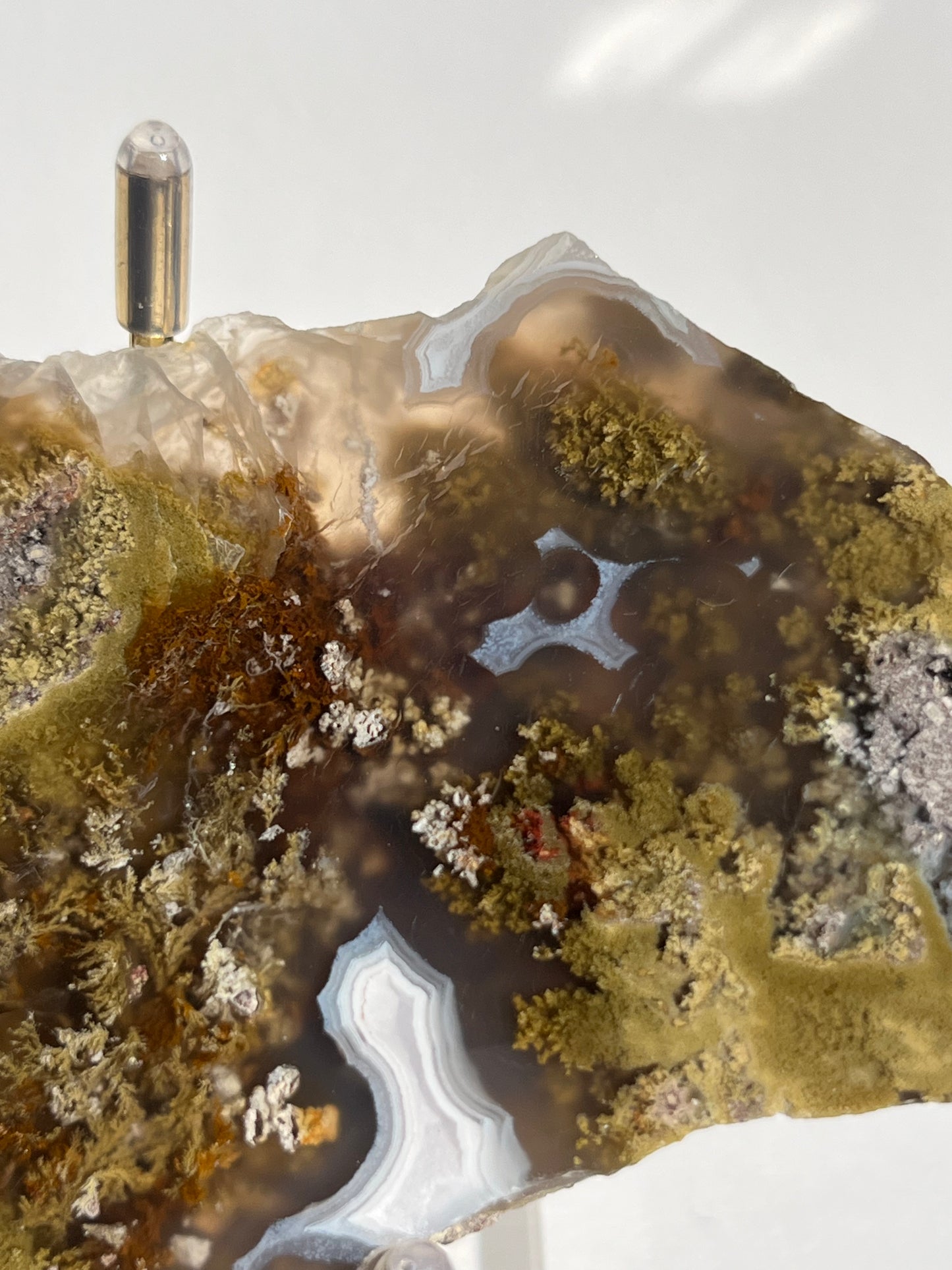 Nebula Agate with Multicoloured Moss Semi Polished Slab C