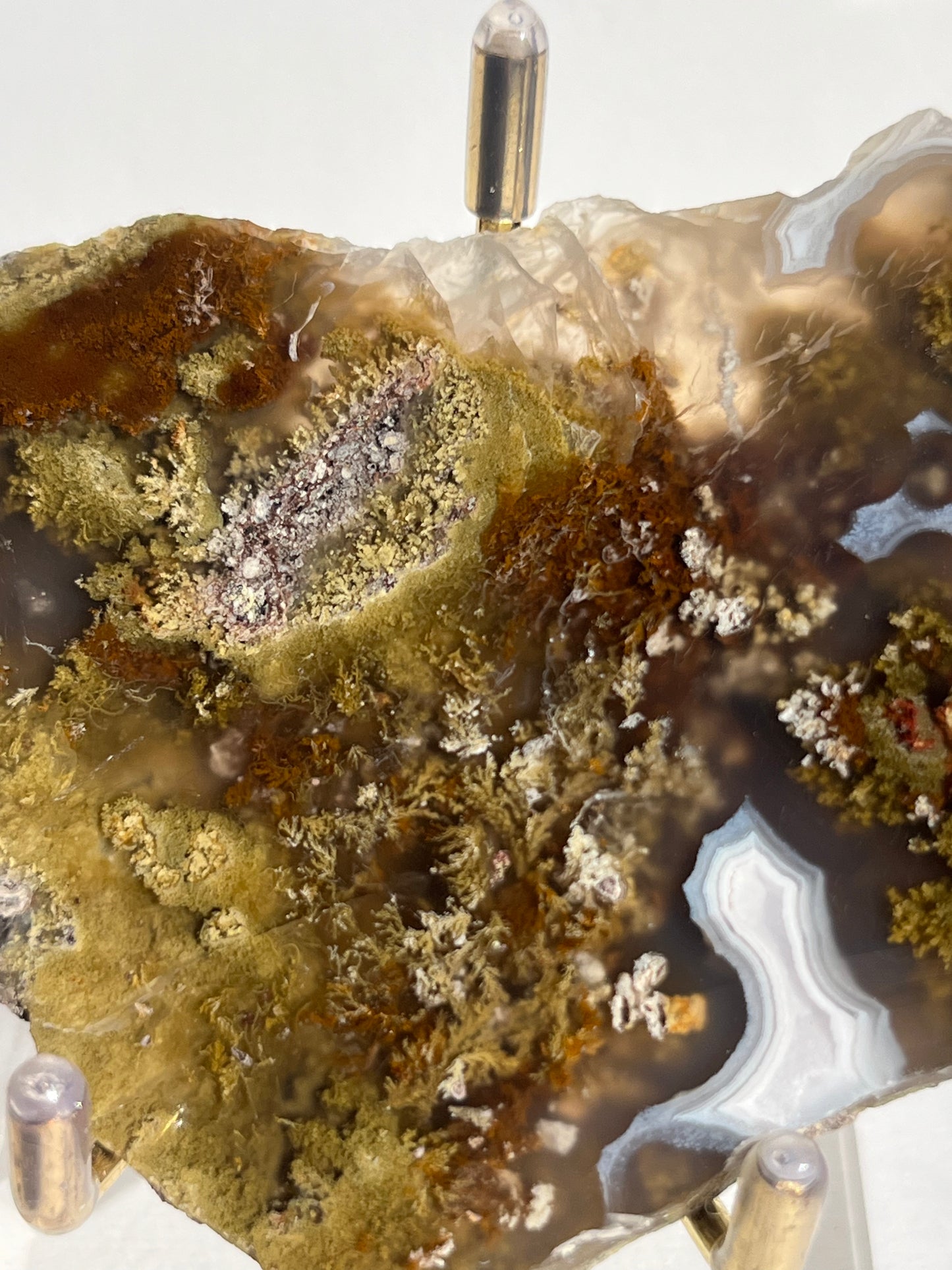 Nebula Agate with Multicoloured Moss Semi Polished Slab C