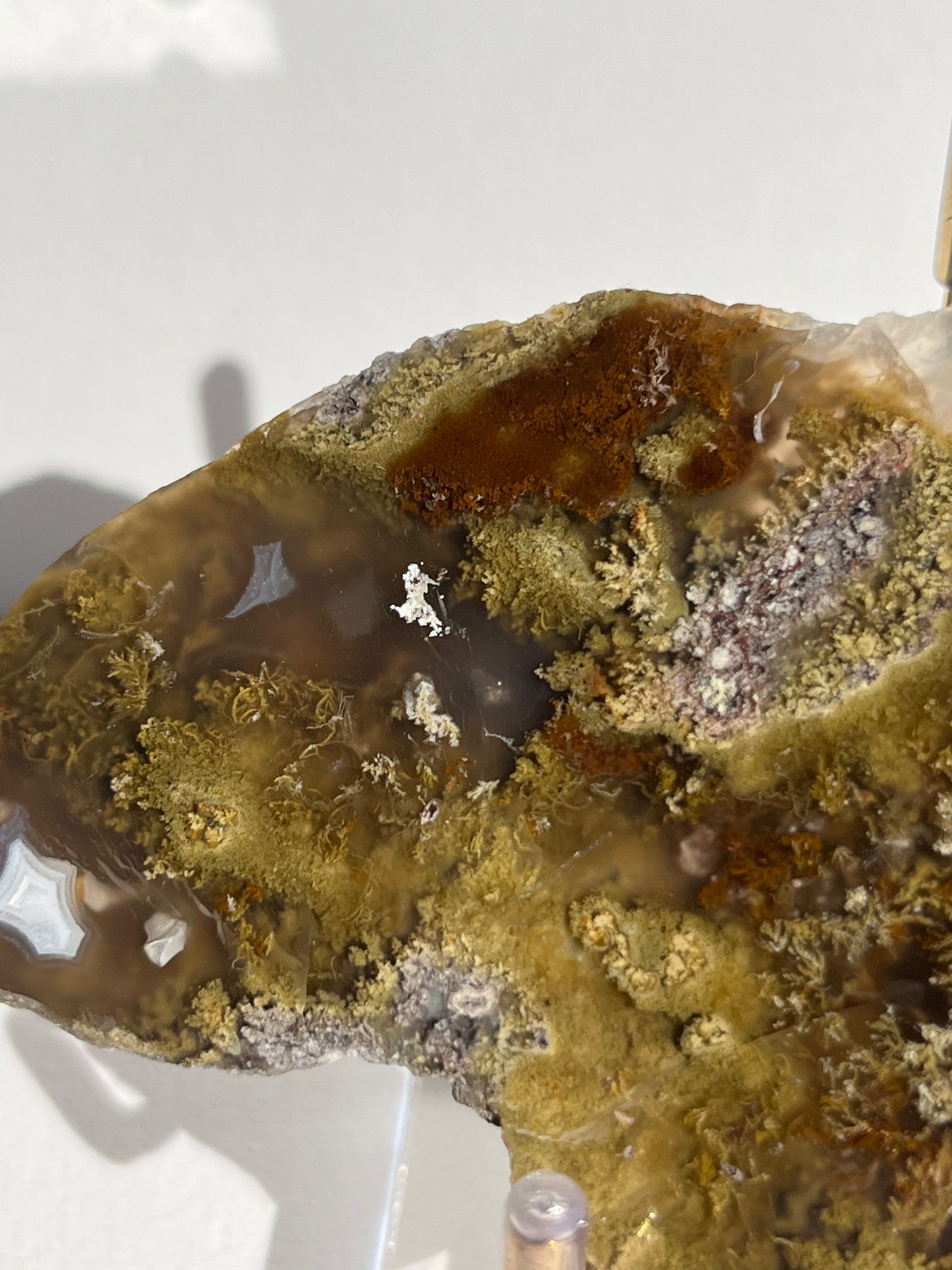 Nebula Agate with Multicoloured Moss Semi Polished Slab C