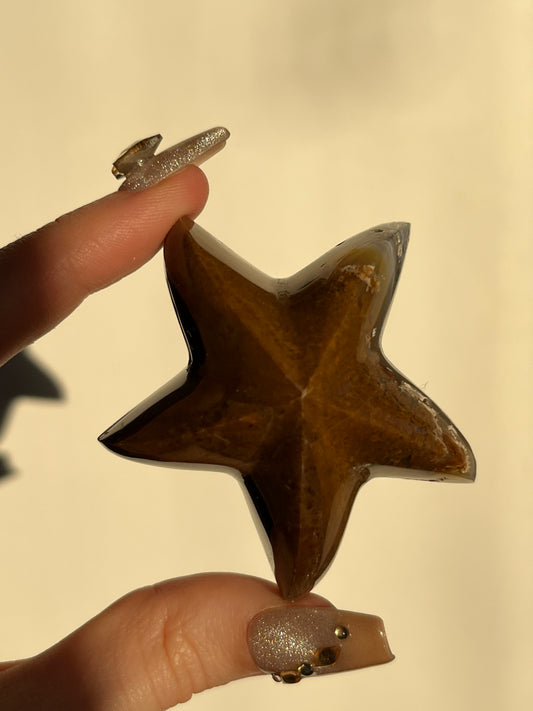 Nebula Agate Starfish Carving H