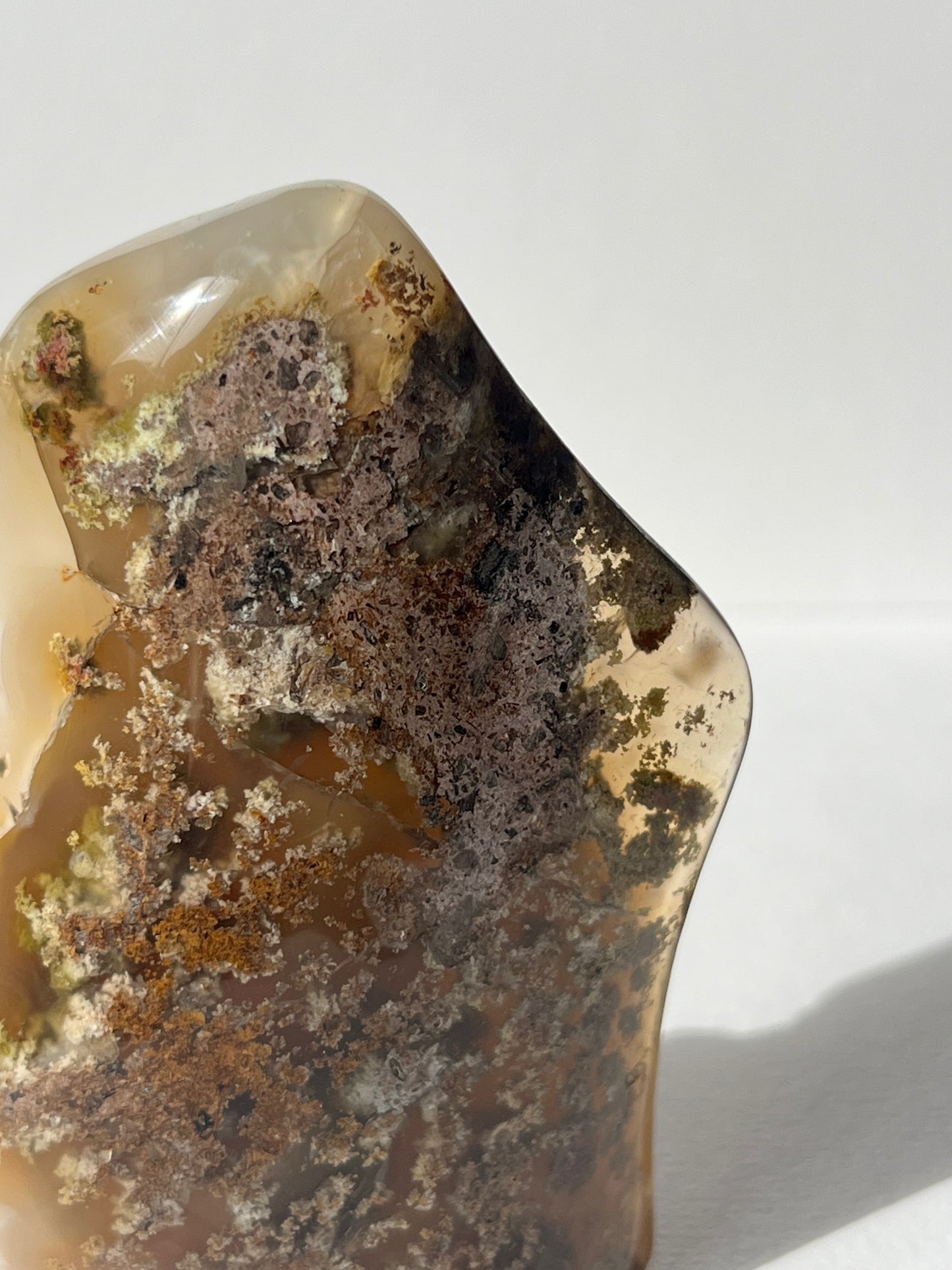 Orbicular Nebula Agate with Scenic Moss Standing Freeform A