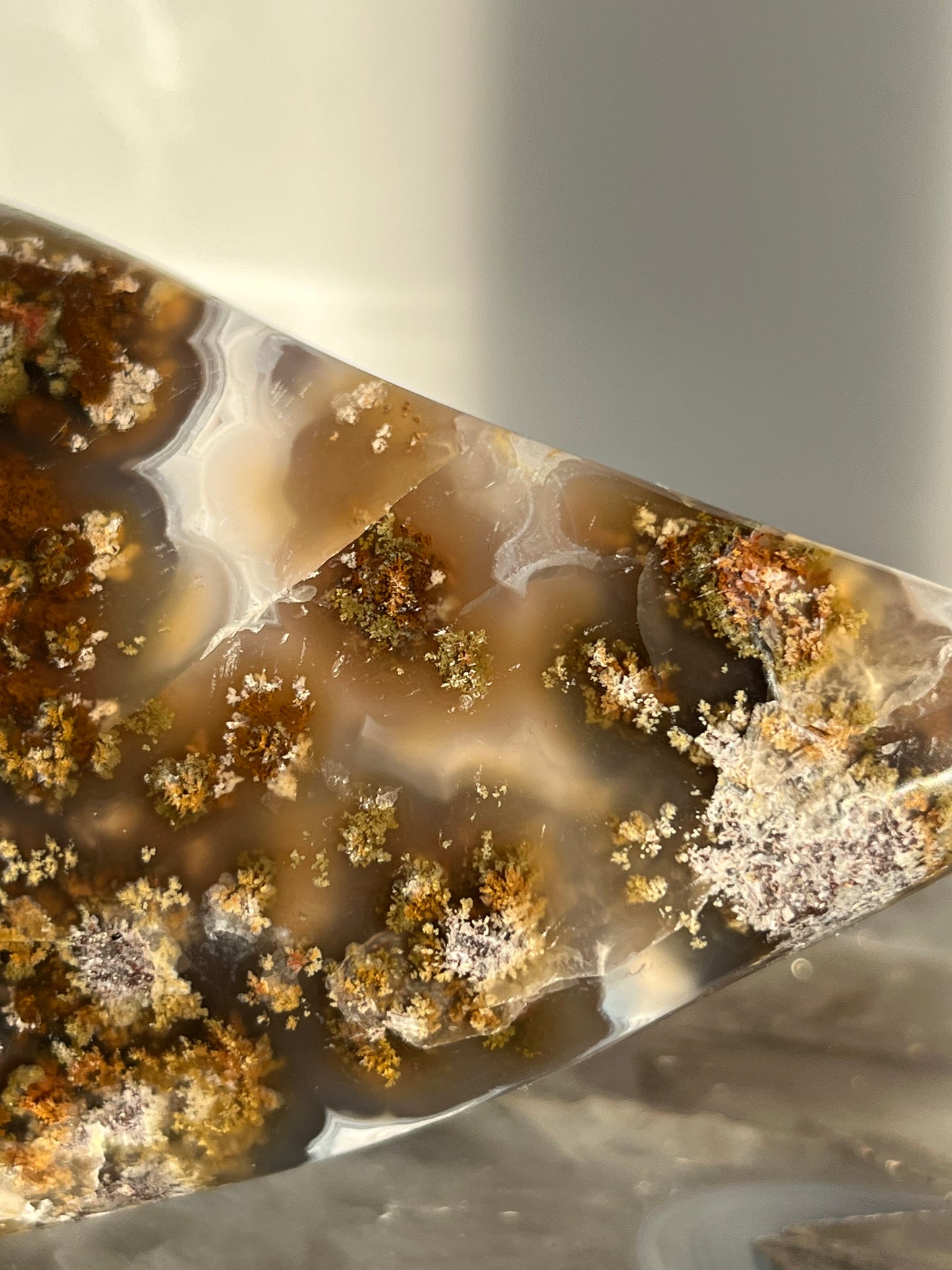 'Nebula Sanctuary' Nebula Agate and Multicoloured Scenic Moss with Amethyst Freeform with Dendritic Inclusions B