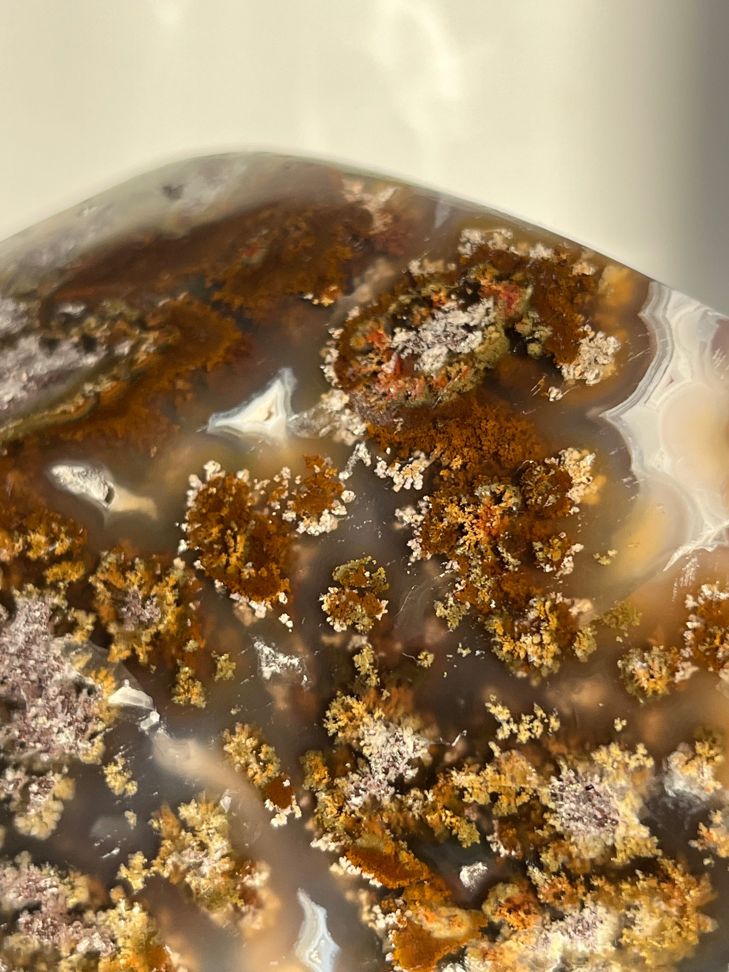 'Nebula Sanctuary' Nebula Agate and Multicoloured Scenic Moss with Amethyst Freeform with Dendritic Inclusions B