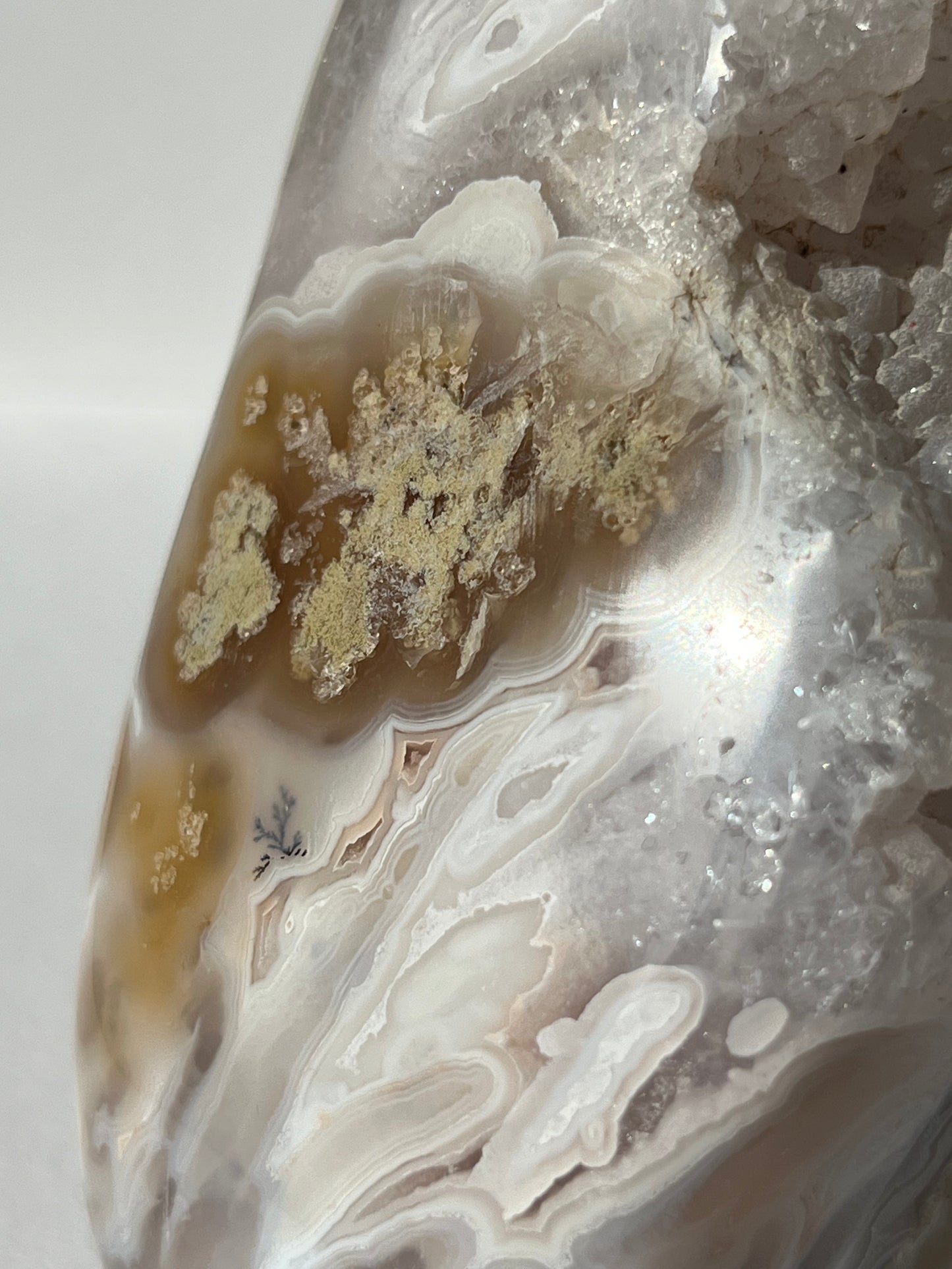 Sugar Druzy Orbicular Nebula Agate Freeform with Dendritic Inclusions A