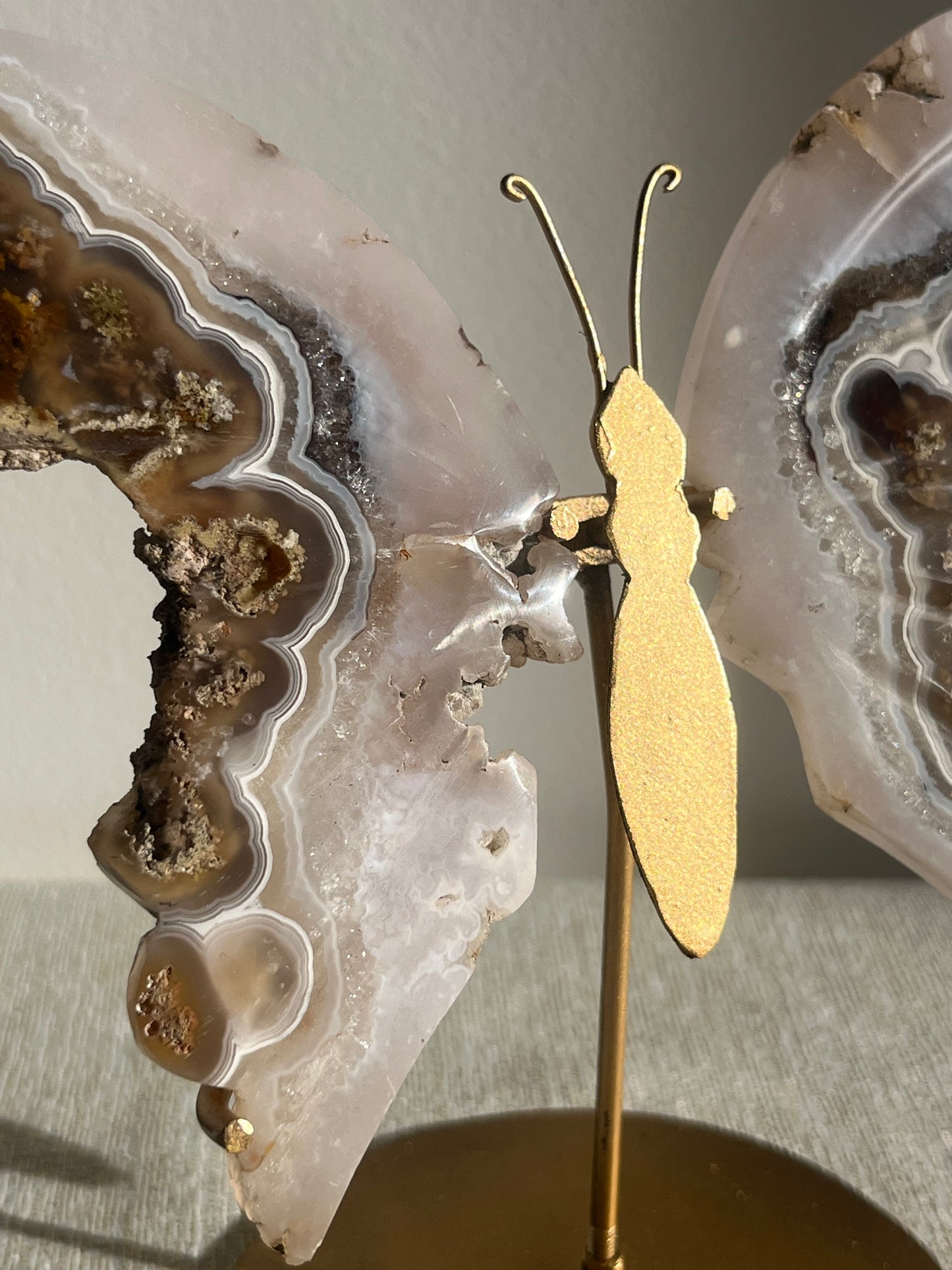 Nebula Agate with Scenic Moss and Dendritic Inclusions Butterfly Wings on Stand A