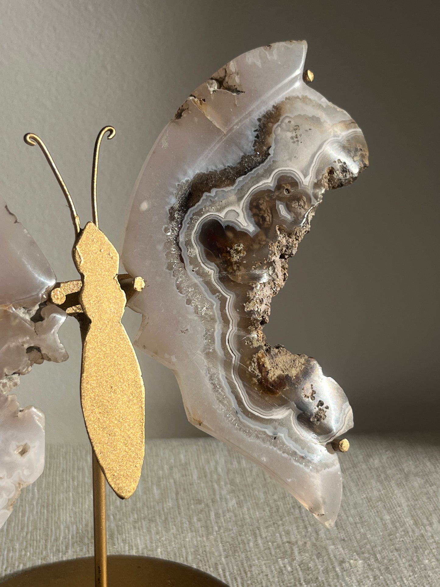 Nebula Agate with Scenic Moss and Dendritic Inclusions Butterfly Wings on Stand A