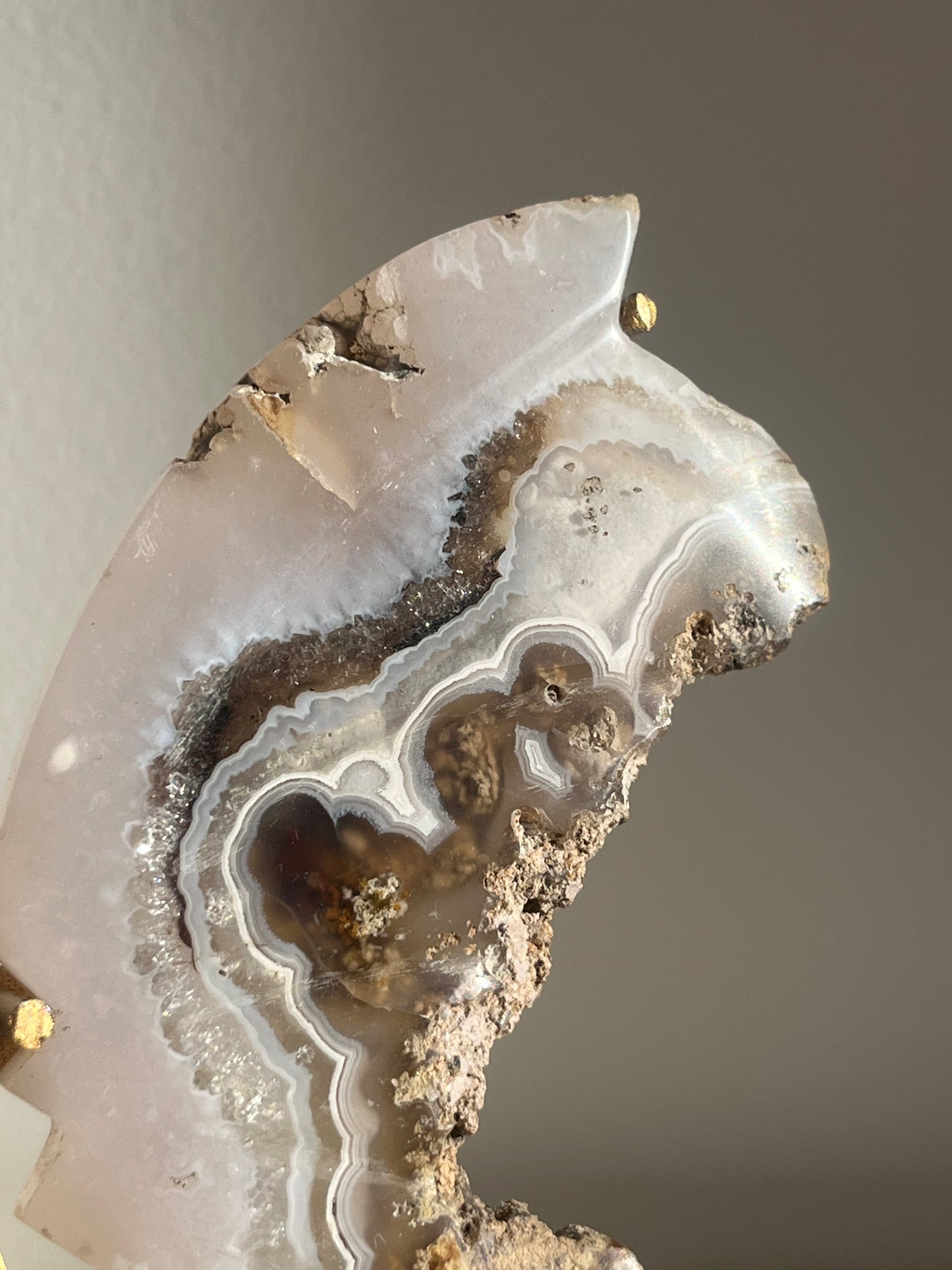 Nebula Agate with Scenic Moss and Dendritic Inclusions Butterfly Wings on Stand A