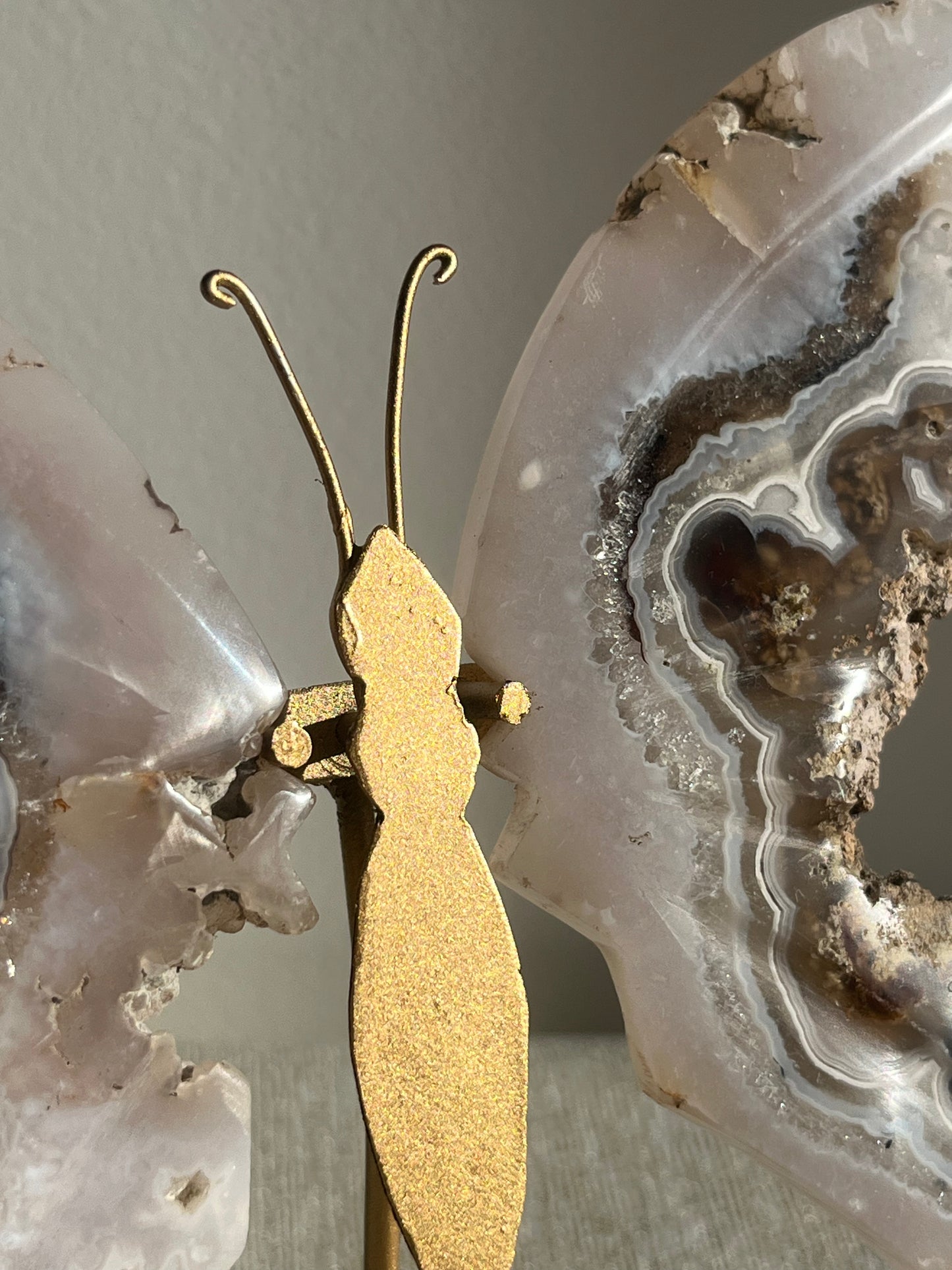 Nebula Agate with Scenic Moss and Dendritic Inclusions Butterfly Wings on Stand A