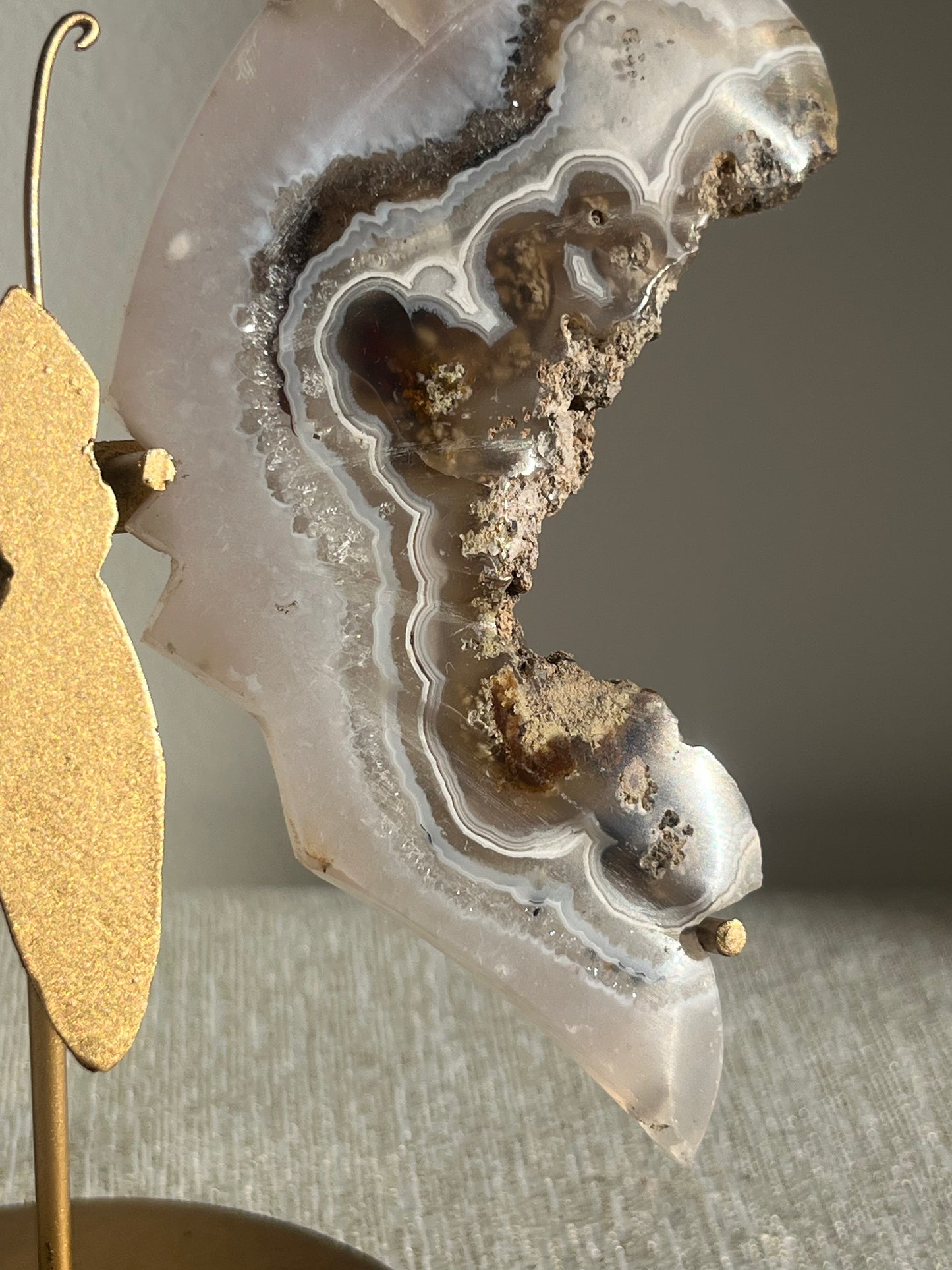 Nebula Agate with Scenic Moss and Dendritic Inclusions Butterfly Wings on Stand A