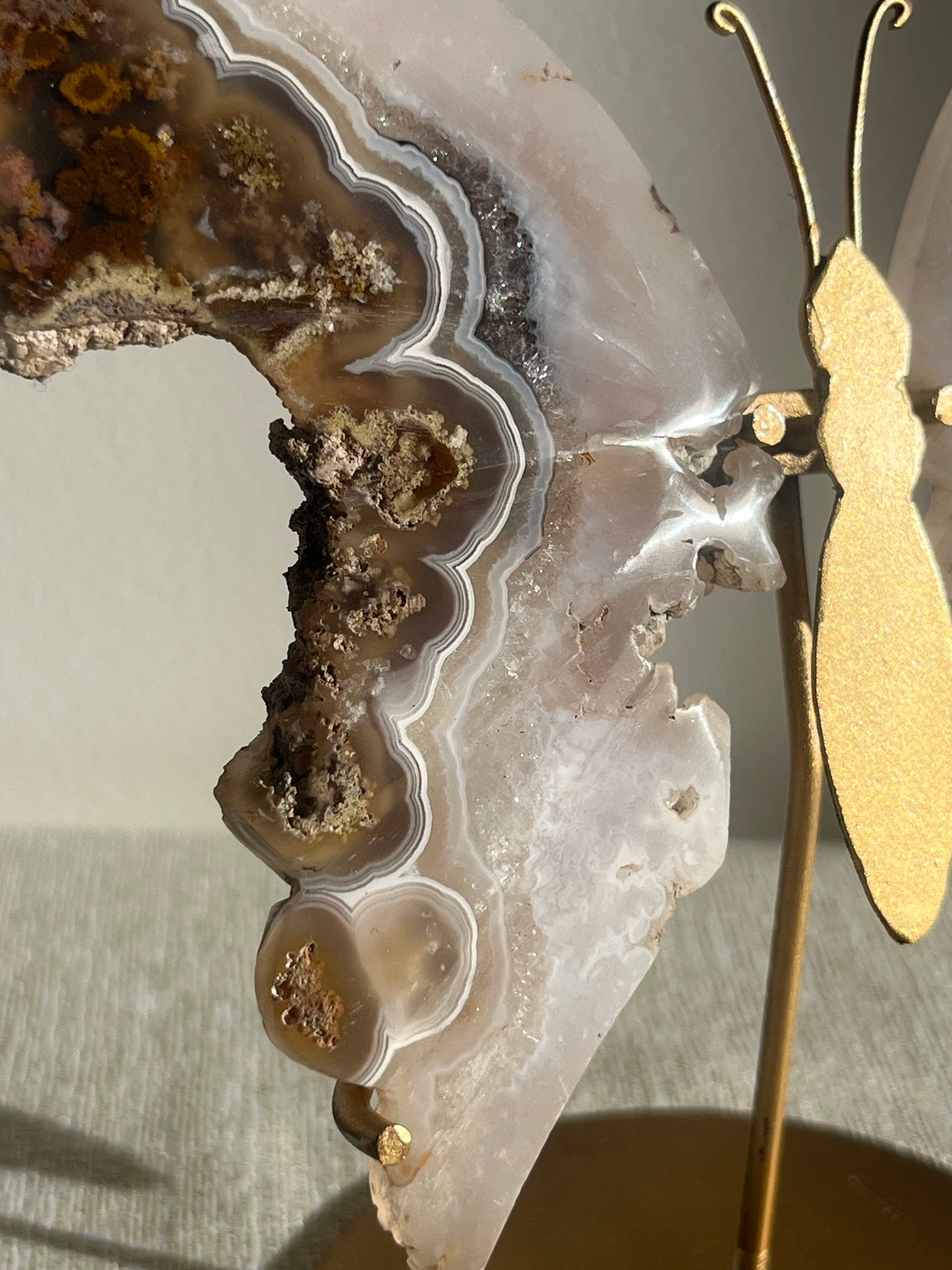Nebula Agate with Scenic Moss and Dendritic Inclusions Butterfly Wings on Stand A