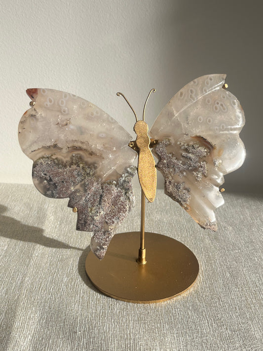 Jelly Orbicular Nebula Agate with Scenic Moss Butterfly Wings on Stand B