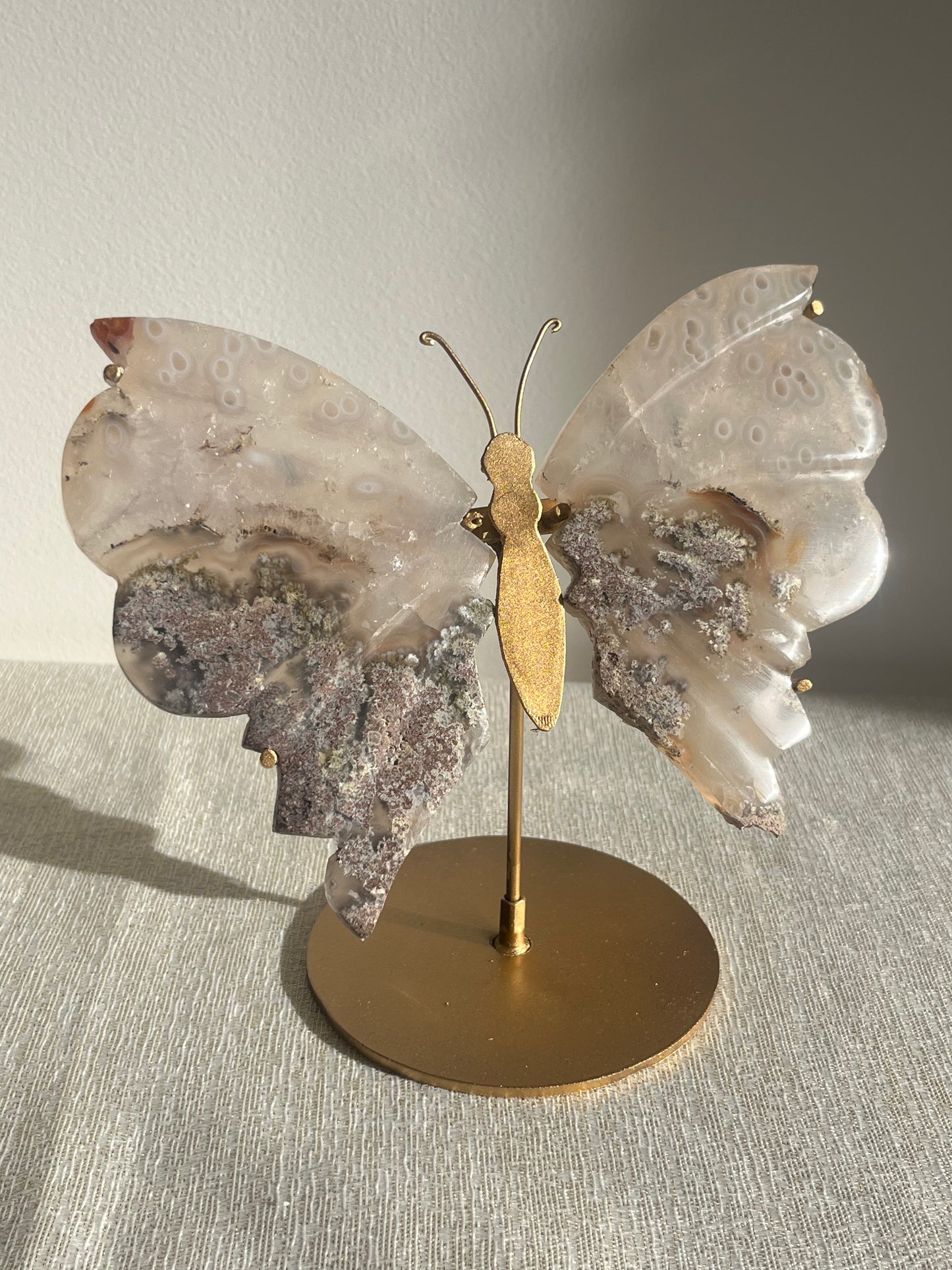 Jelly Orbicular Nebula Agate with Scenic Moss Butterfly Wings on Stand B