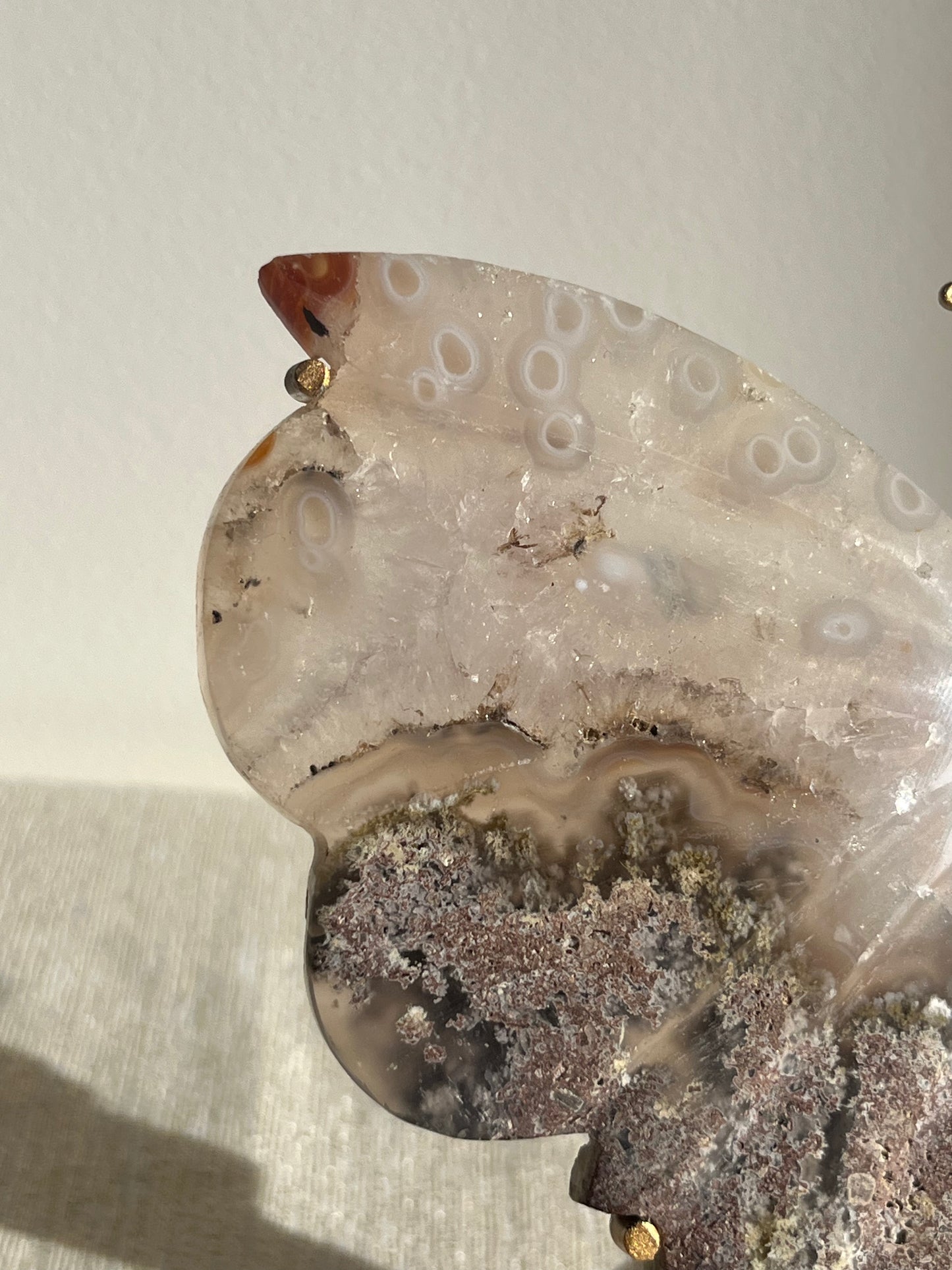 Jelly Orbicular Nebula Agate with Scenic Moss Butterfly Wings on Stand B