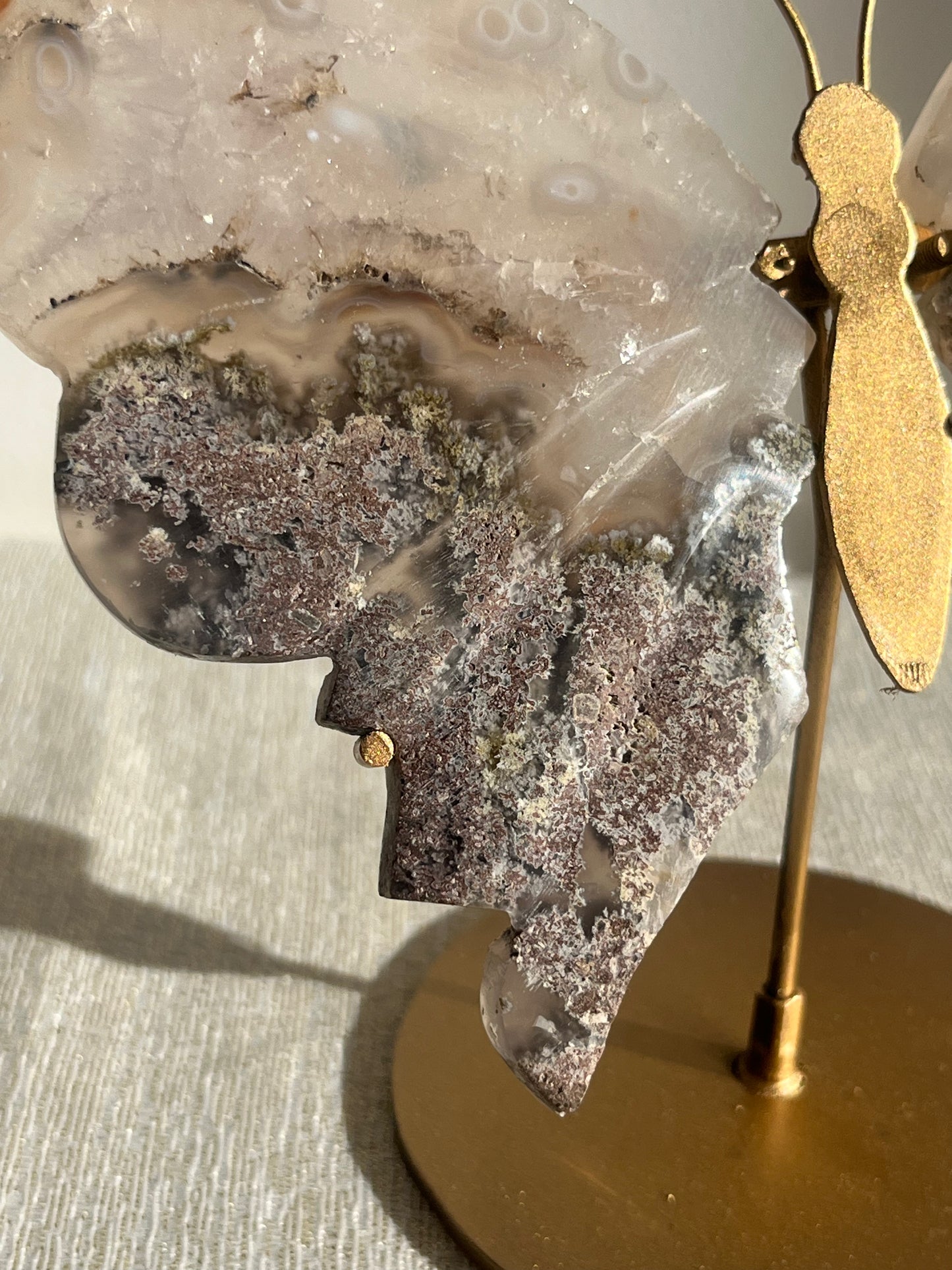 Jelly Orbicular Nebula Agate with Scenic Moss Butterfly Wings on Stand B