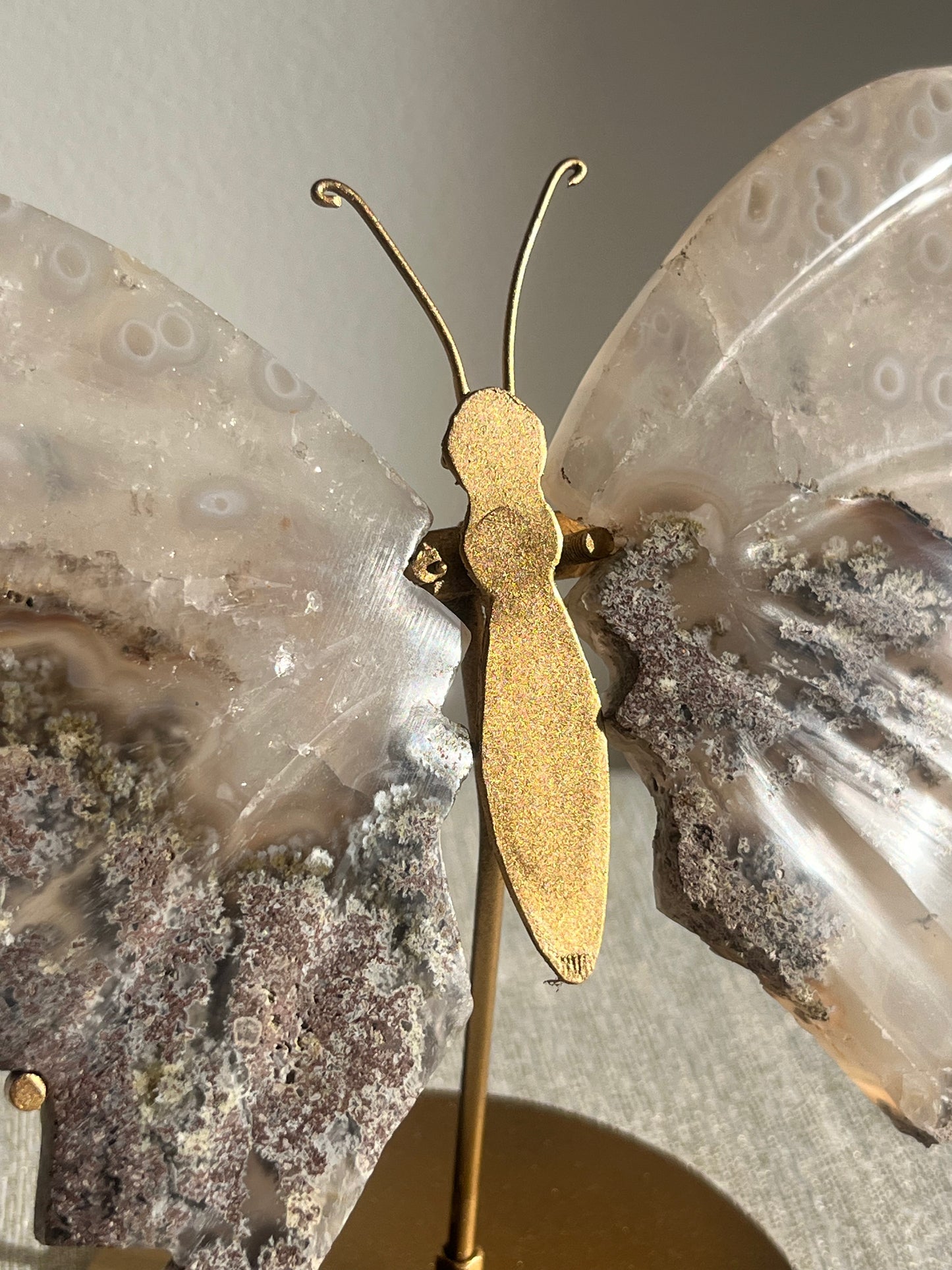 Jelly Orbicular Nebula Agate with Scenic Moss Butterfly Wings on Stand B