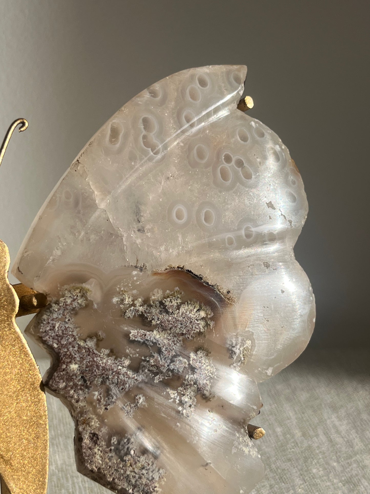 Jelly Orbicular Nebula Agate with Scenic Moss Butterfly Wings on Stand B