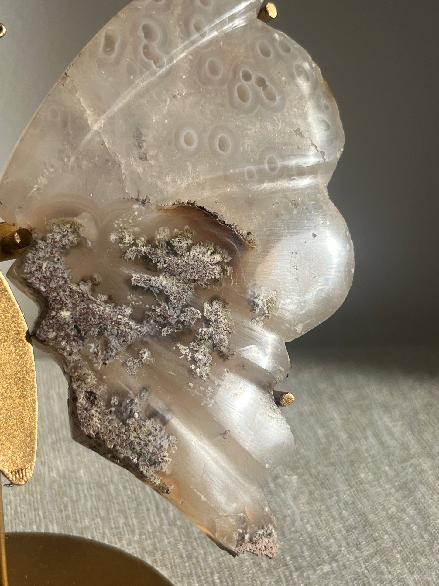 Jelly Orbicular Nebula Agate with Scenic Moss Butterfly Wings on Stand B