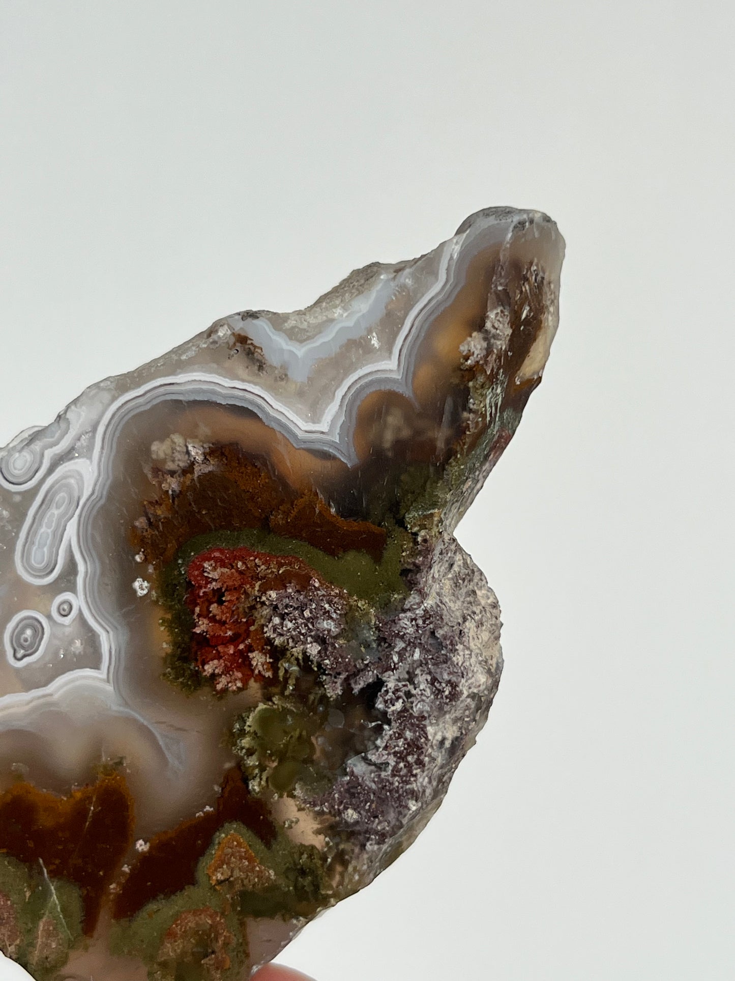 Orbicular Nebula Agate with Scenic Moss and Dendritic Inclusions Slab C