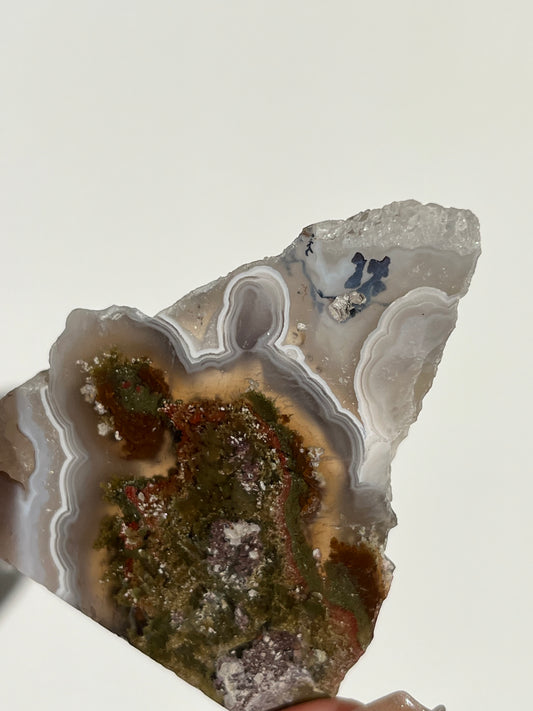Nebula Agate with Scenic Moss and Dendritic Inclusions Slab F