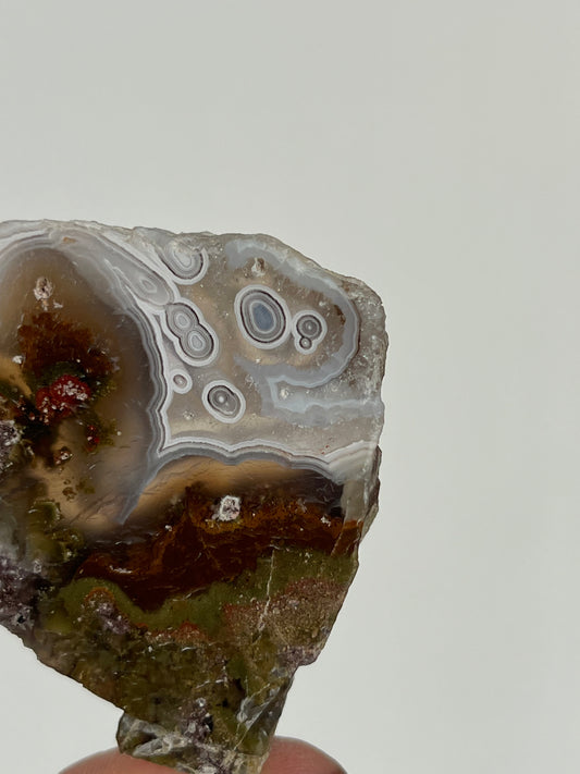 Orbicular Nebula Agate with Scenic Moss and Dendritic Inclusions Slab K