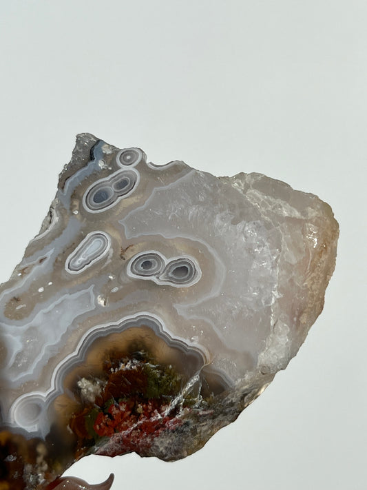 Orbicular Nebula Agate with Scenic Moss and Dendritic Inclusions Slab Q