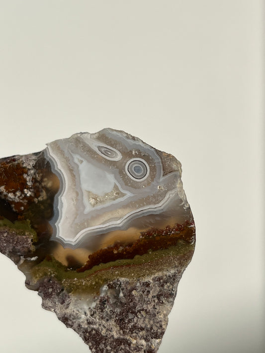 Orbicular Nebula Agate with Scenic Moss Slab T
