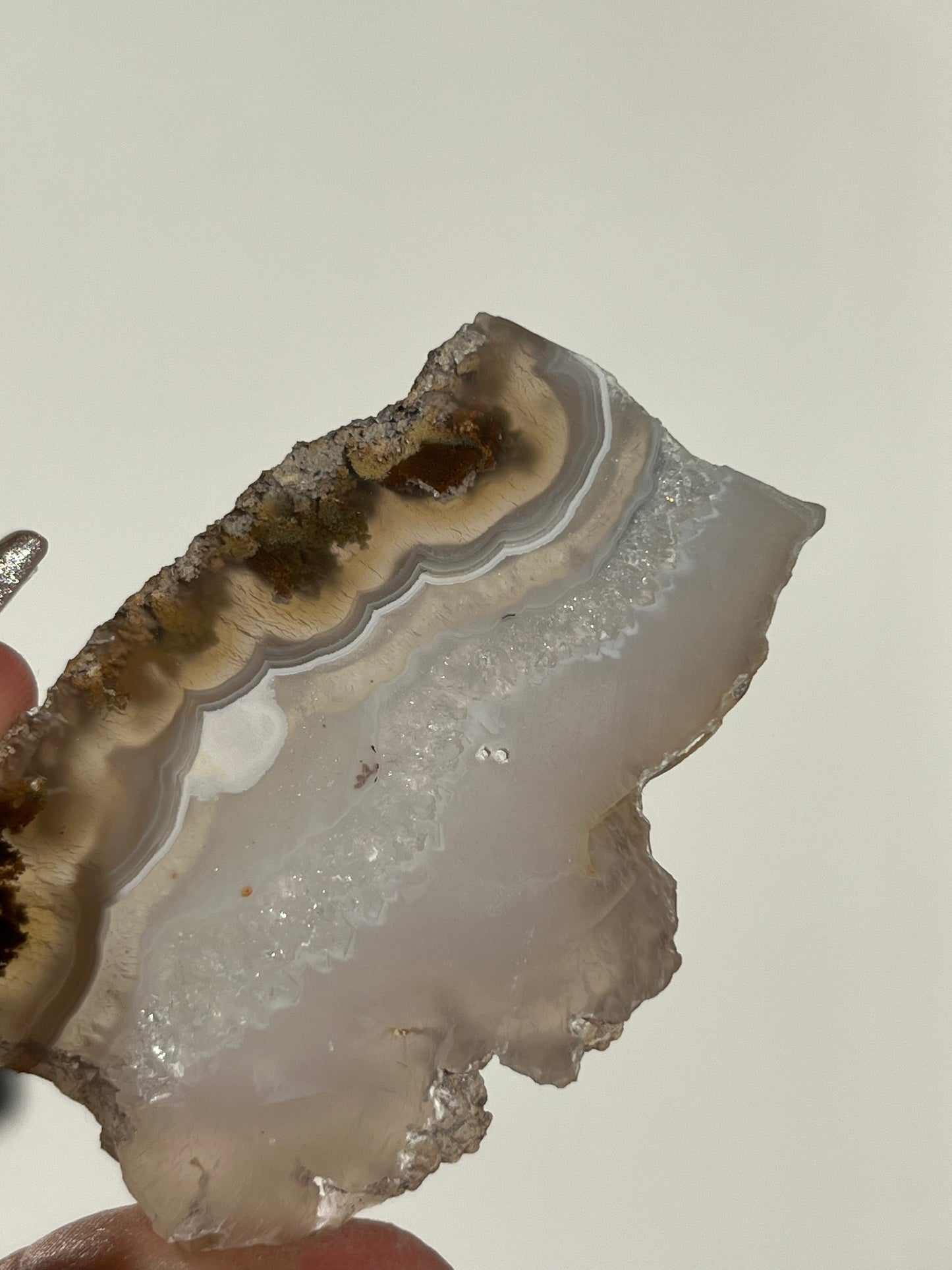 Nebula Agate with  Scenic Moss and Dendritic Inclusions Slab V