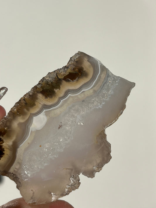 Nebula Agate with  Scenic Moss and Dendritic Inclusions Slab V