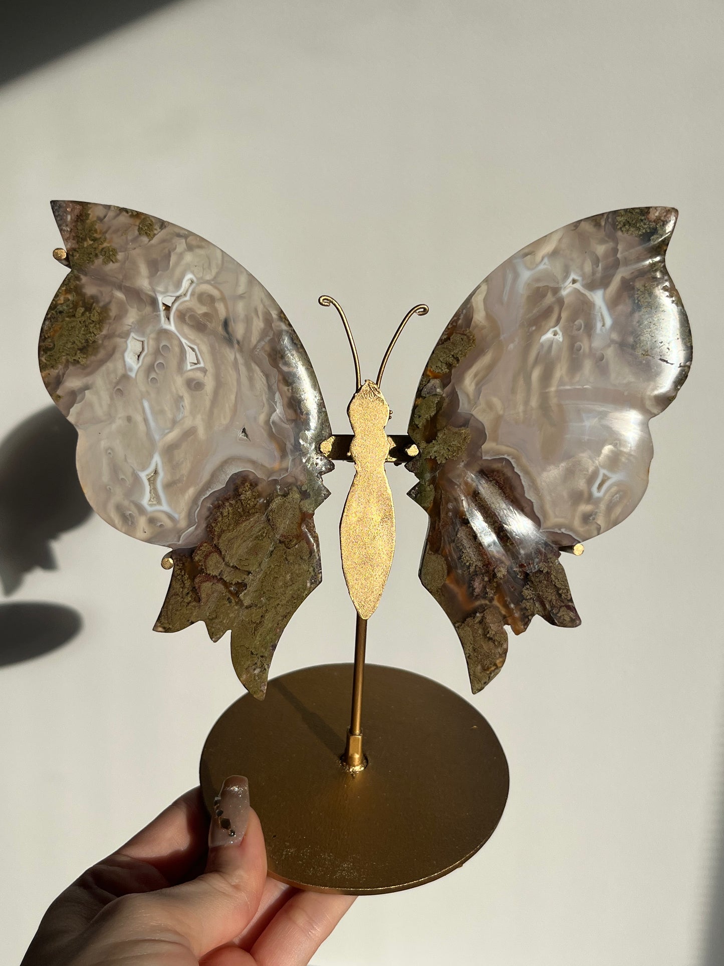 Orbicular Nebula Agate & Scenic Moss Butterfly Wings on Stand