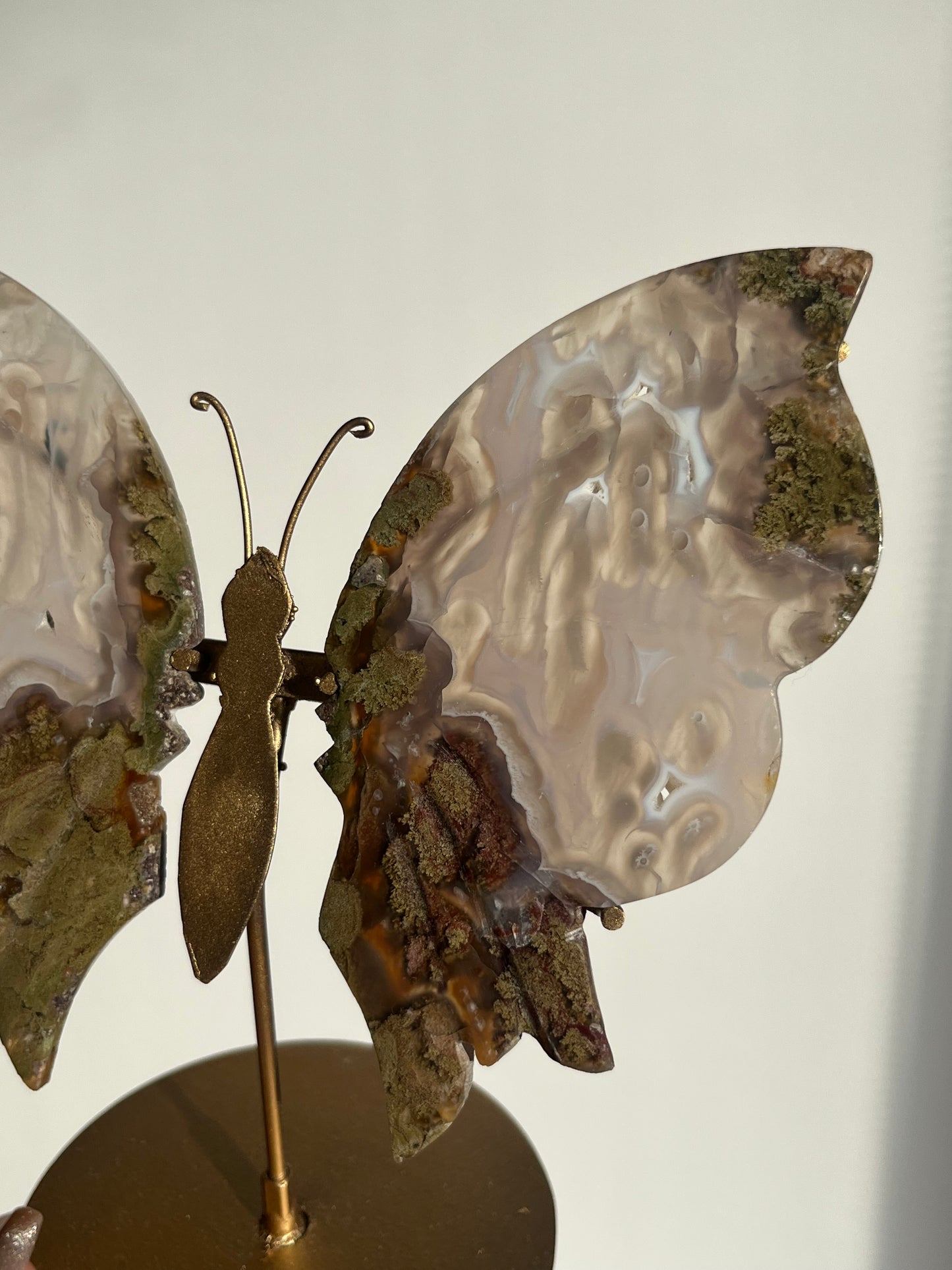 Orbicular Nebula Agate & Scenic Moss Butterfly Wings on Stand