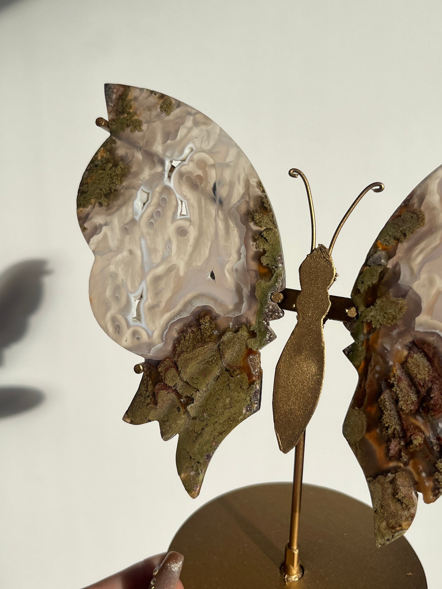 Orbicular Nebula Agate & Scenic Moss Butterfly Wings on Stand