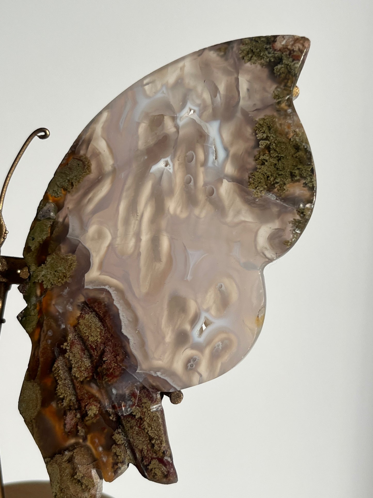 Orbicular Nebula Agate & Scenic Moss Butterfly Wings on Stand