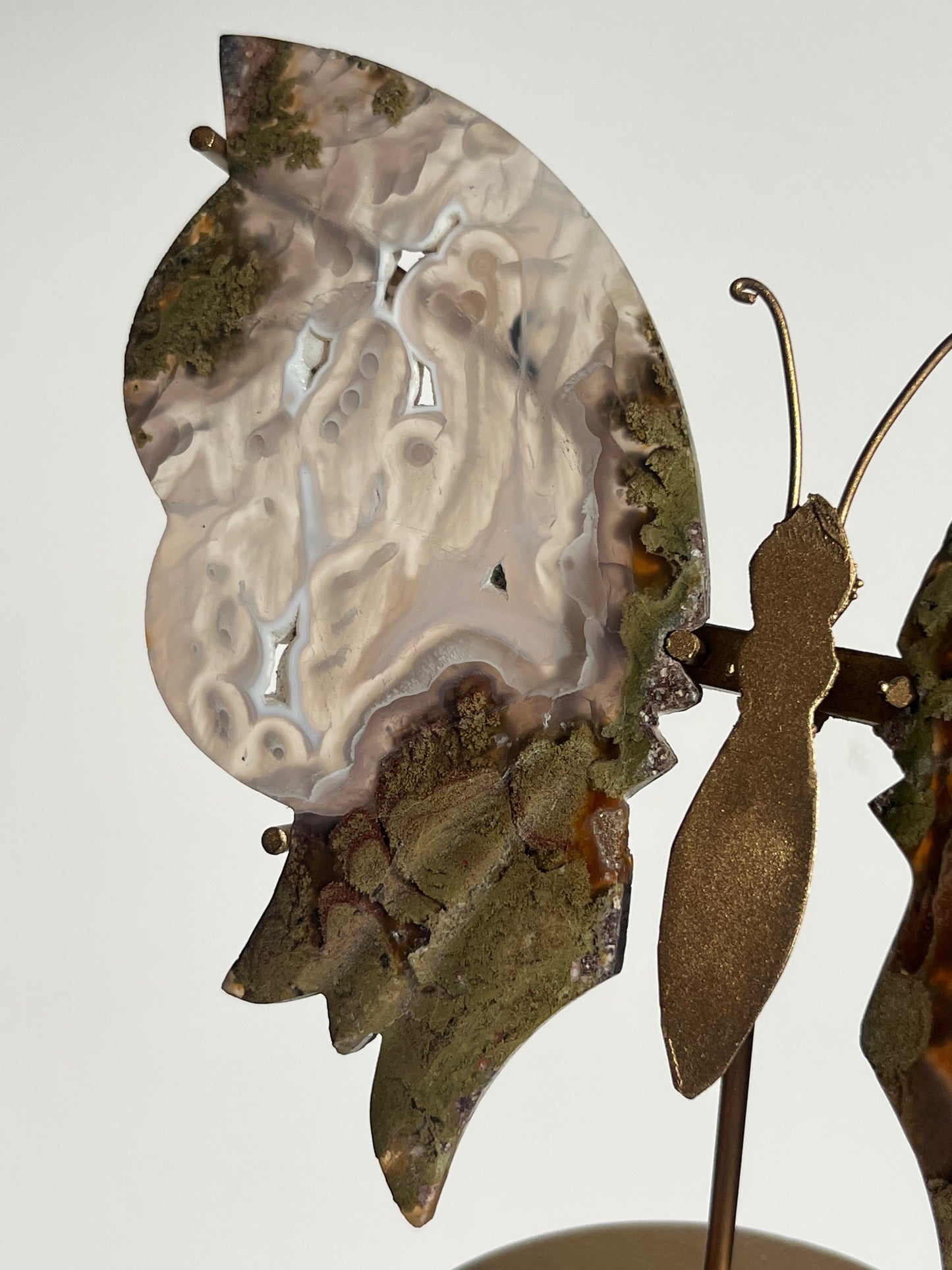 Orbicular Nebula Agate & Scenic Moss Butterfly Wings on Stand