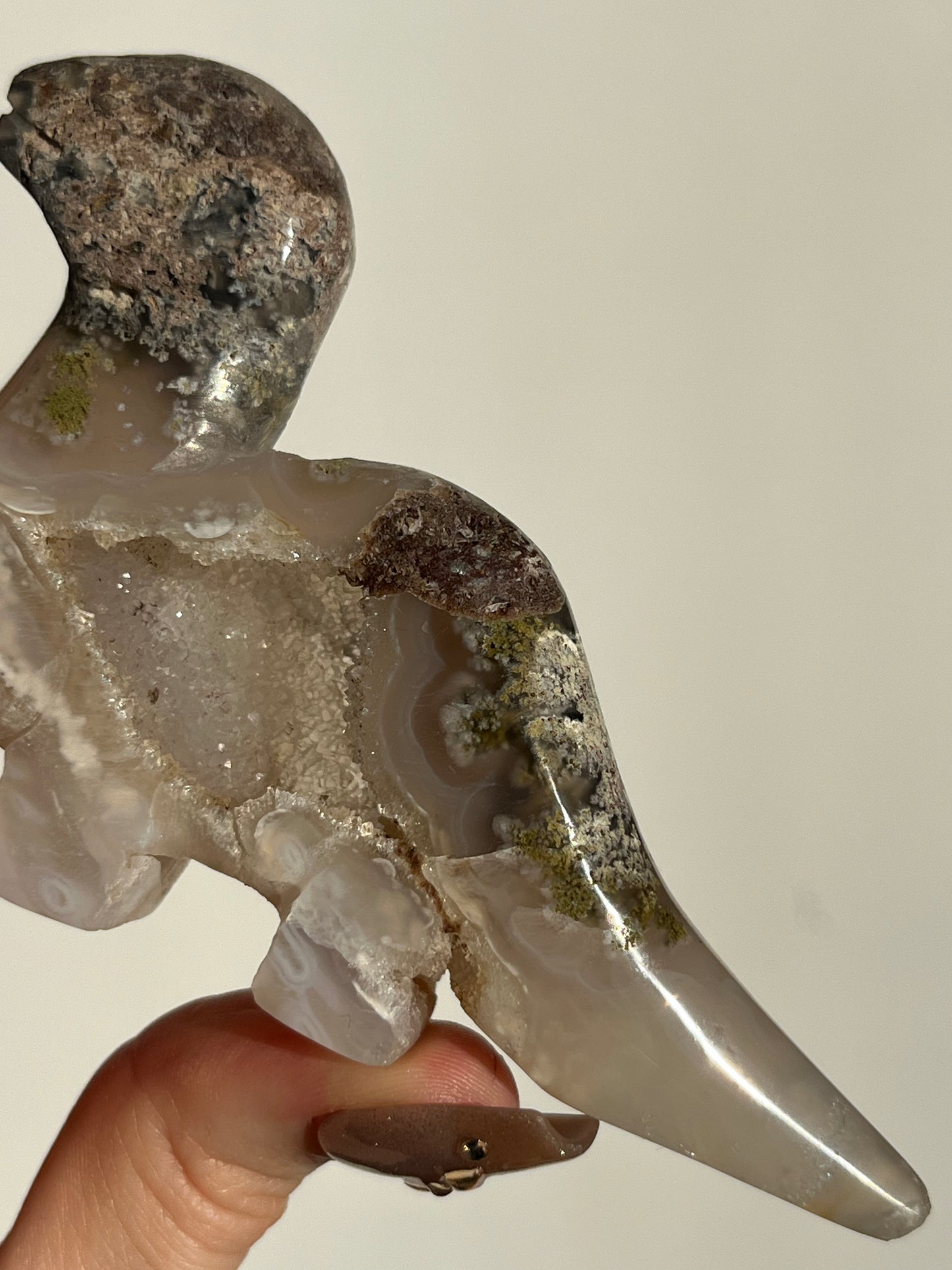 ‘Titano’ Nebula Agate with Scenic Moss Dinosaur Carving B