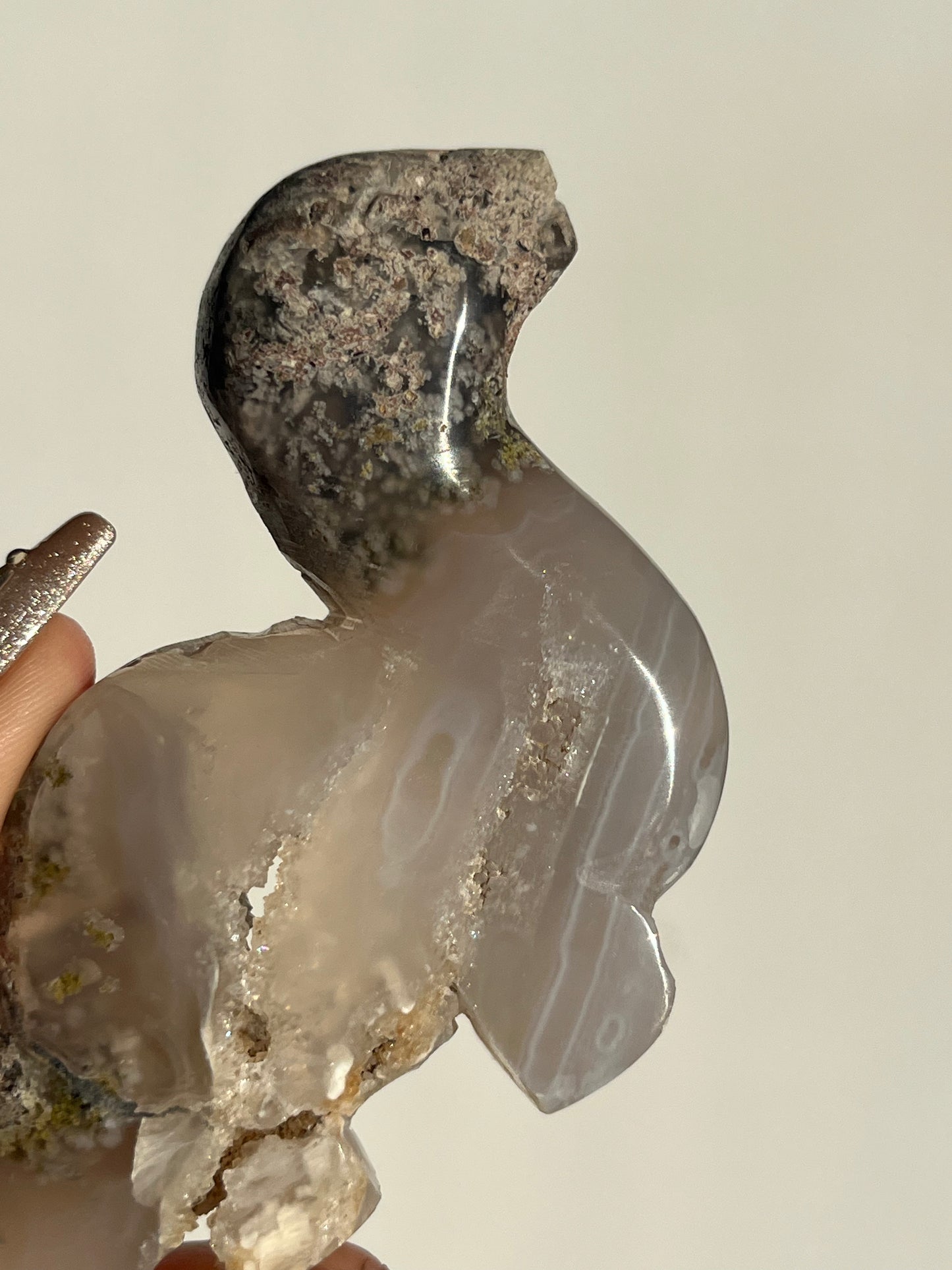 ‘Titano’ Nebula Agate with Scenic Moss Dinosaur Carving B